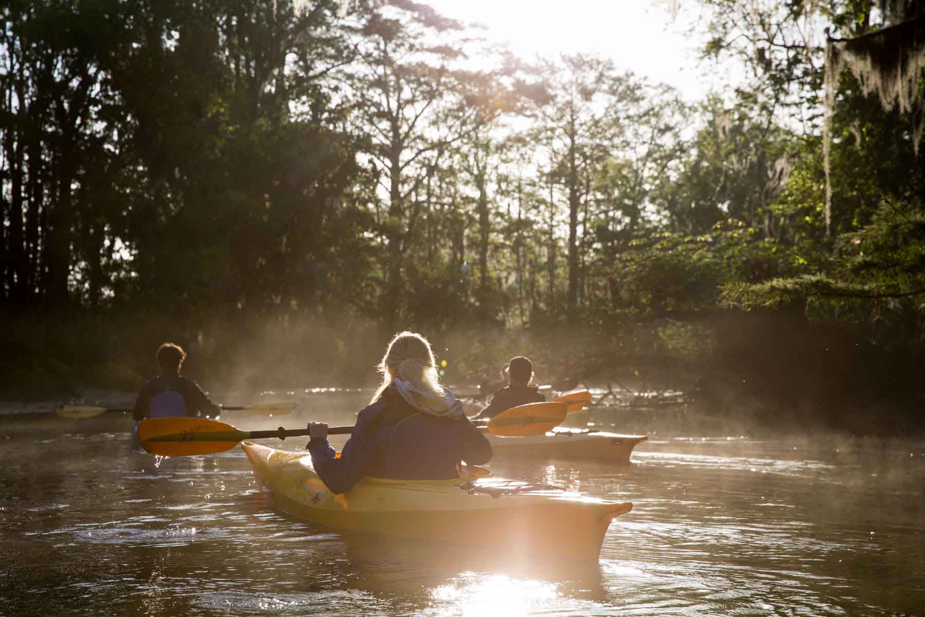 Chicora Wood Plantation property picture 112 of 116