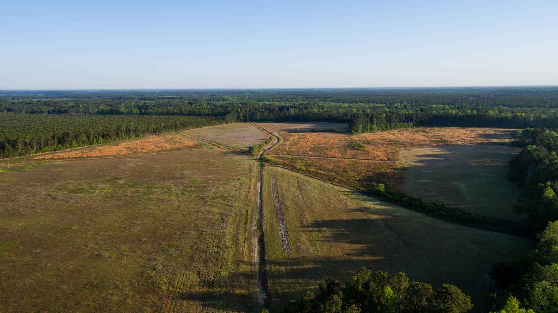 Chicora Wood Plantation property picture 114 of 116