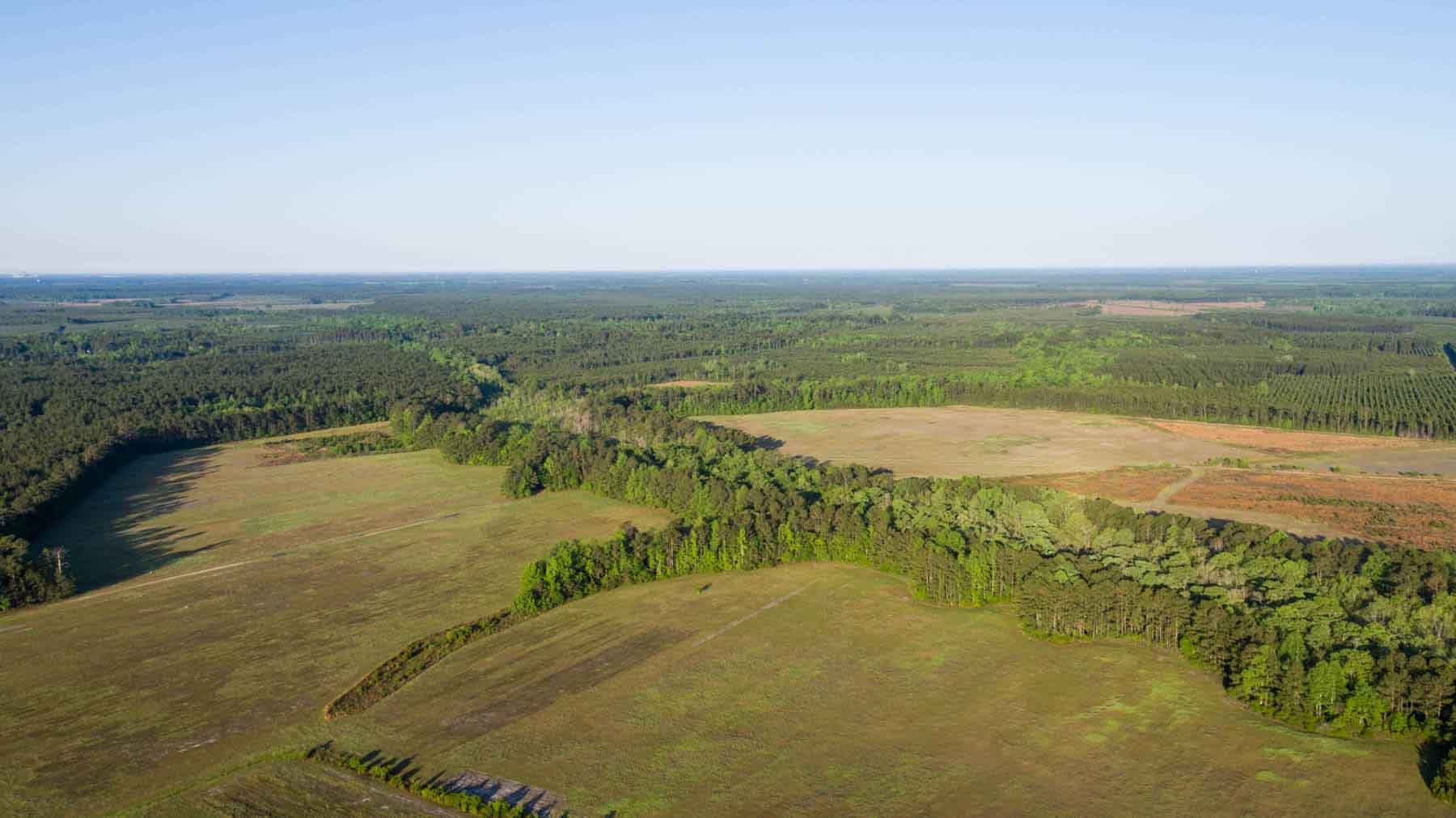 Chicora Wood Plantation property picture 115 of 116
