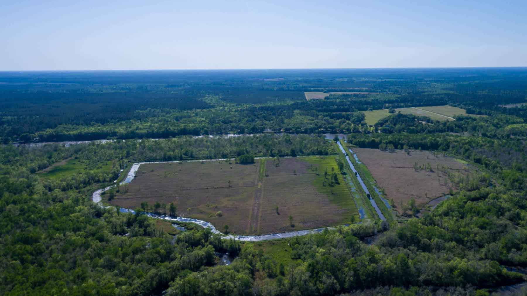 Chicora Wood Plantation property picture 116 of 116