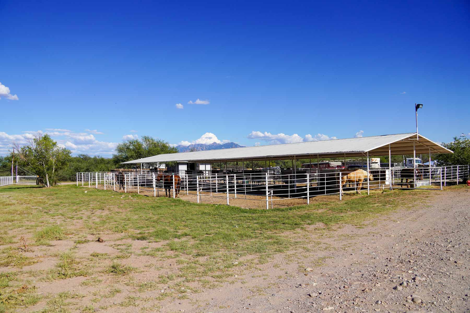 Marley Ranch property picture 83 of 91