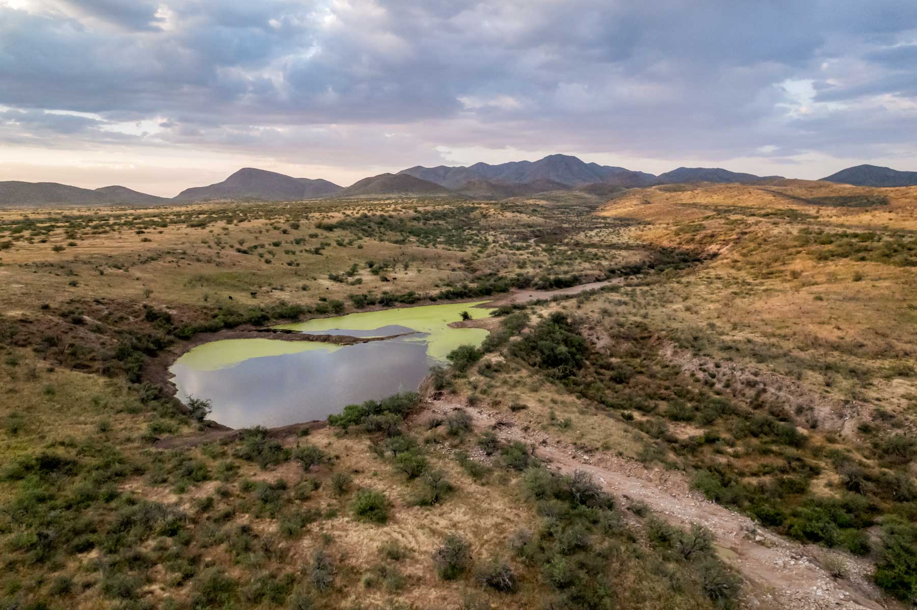 Marley Ranch property picture 81 of 91