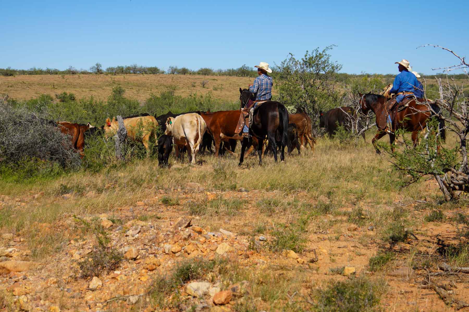 Marley Ranch property picture 89 of 91