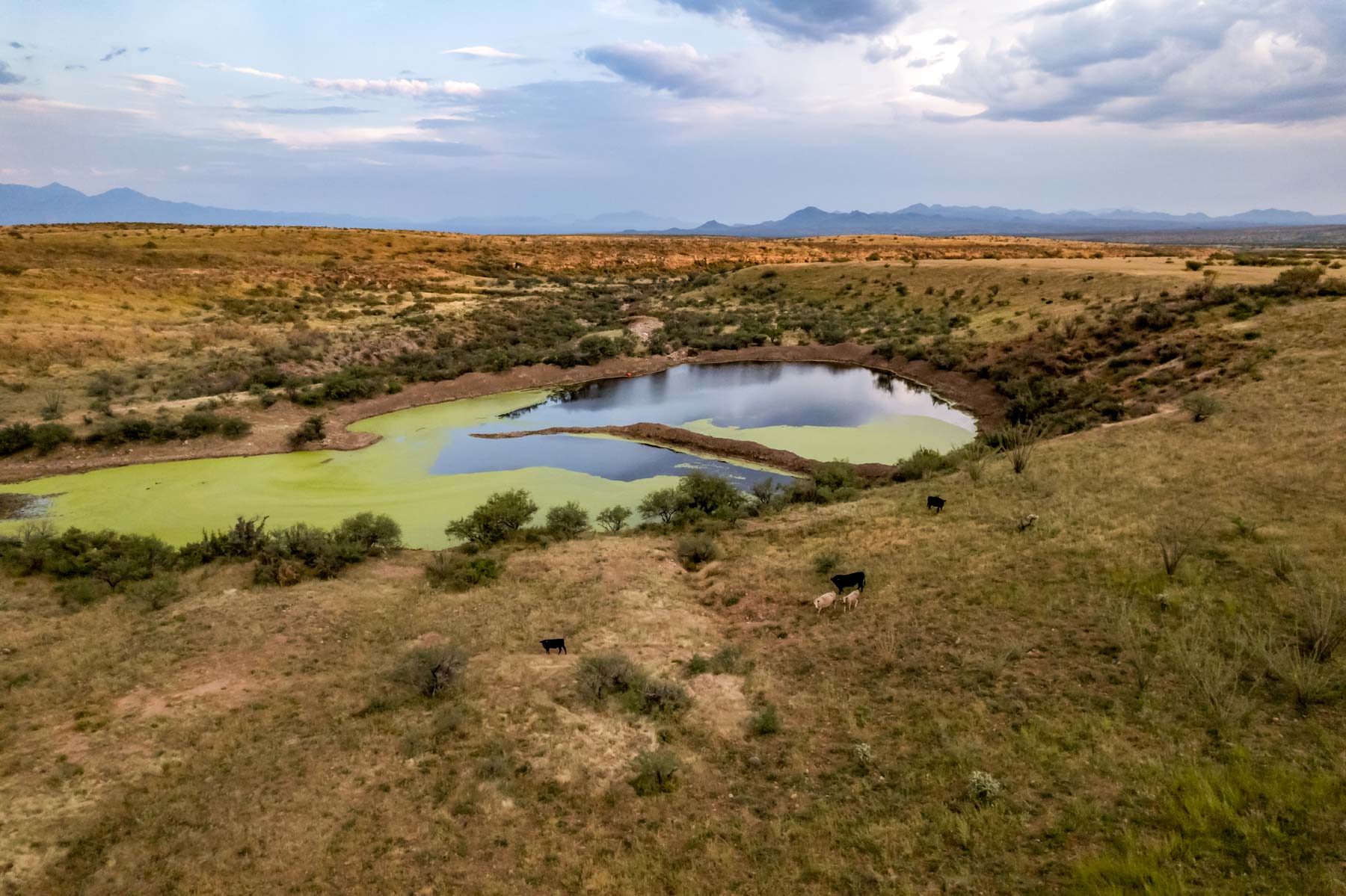 Marley Ranch property picture 74 of 91