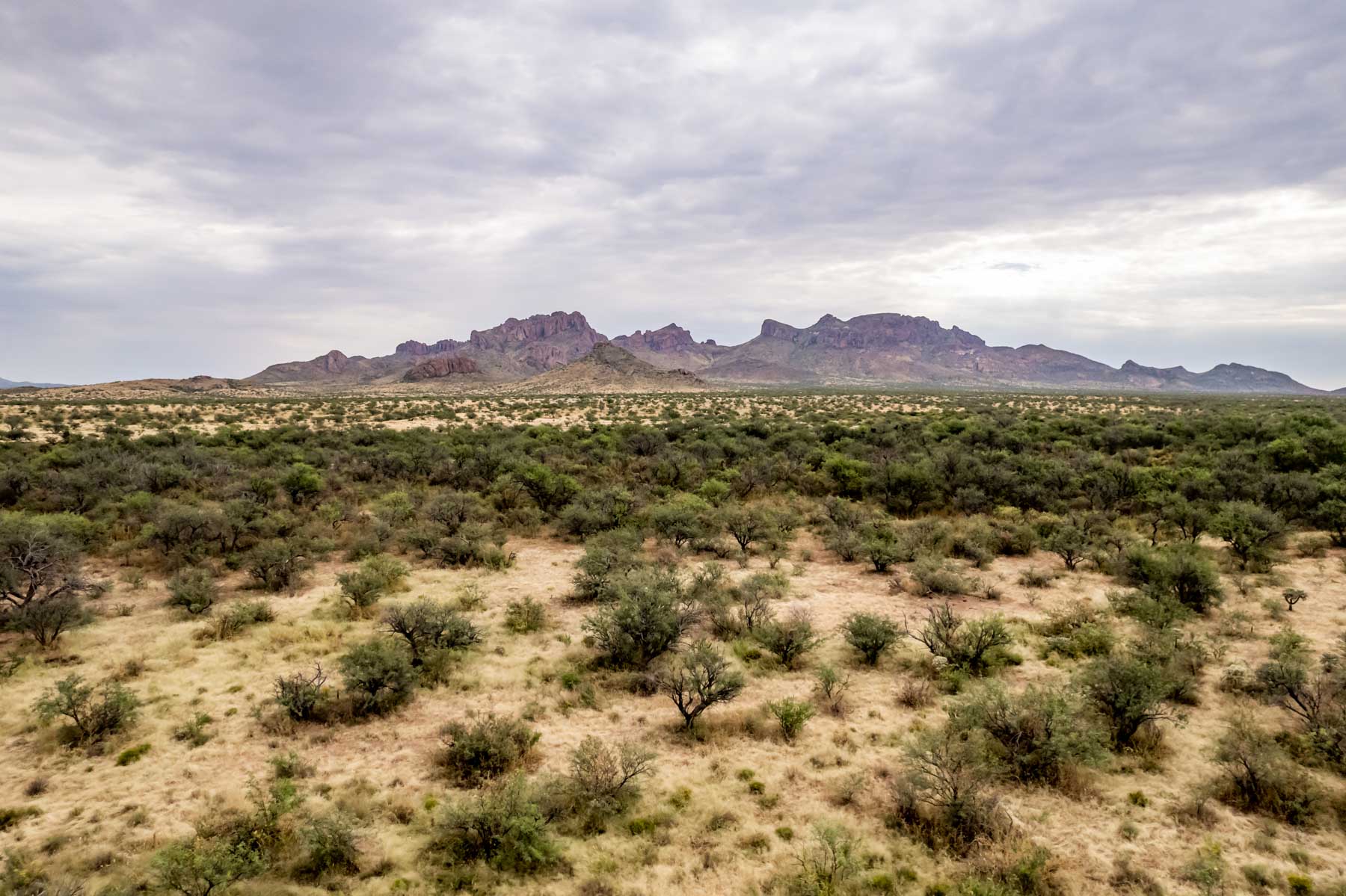 Marley Ranch property picture 46 of 91