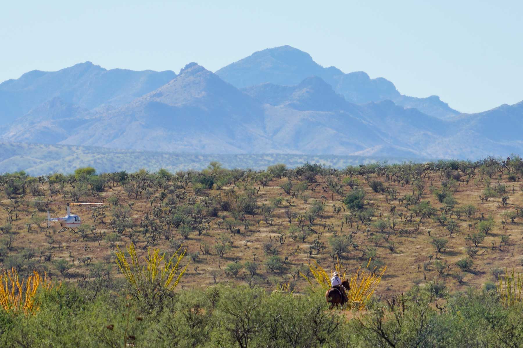 Marley Ranch property picture 88 of 91