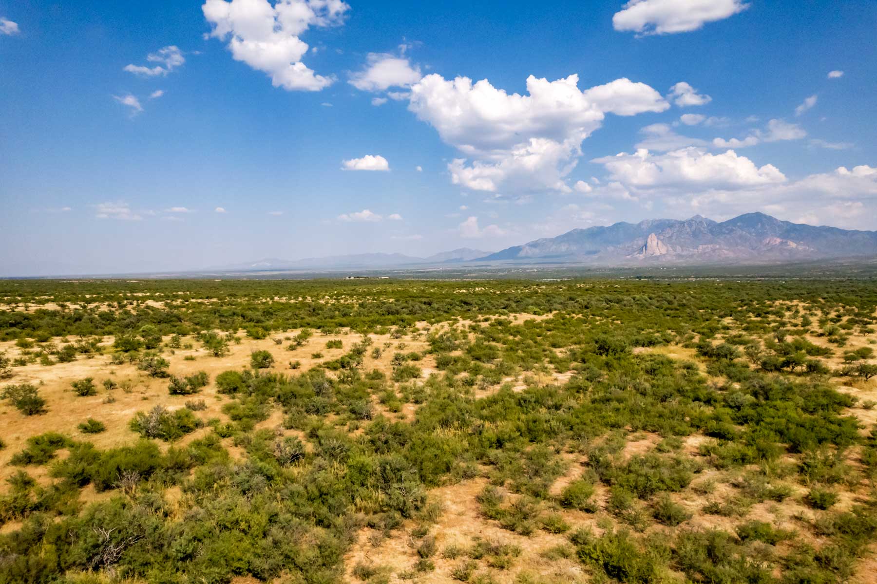 Marley Ranch property picture 50 of 91