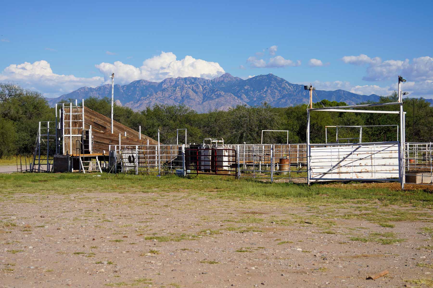 Marley Ranch property picture 84 of 91