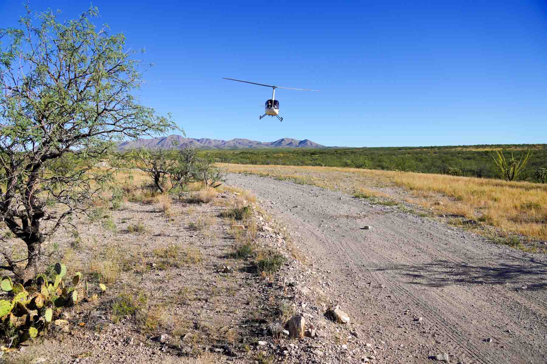 Marley Ranch property picture 86 of 91