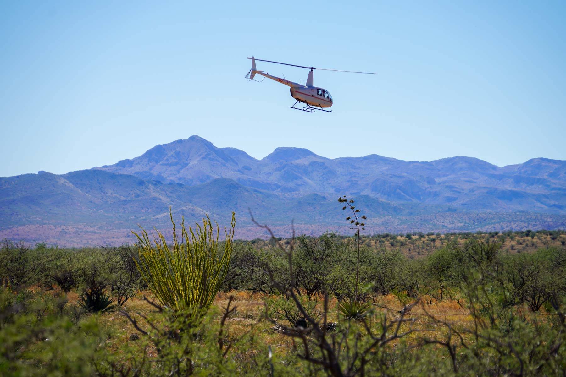 Marley Ranch property picture 91 of 91
