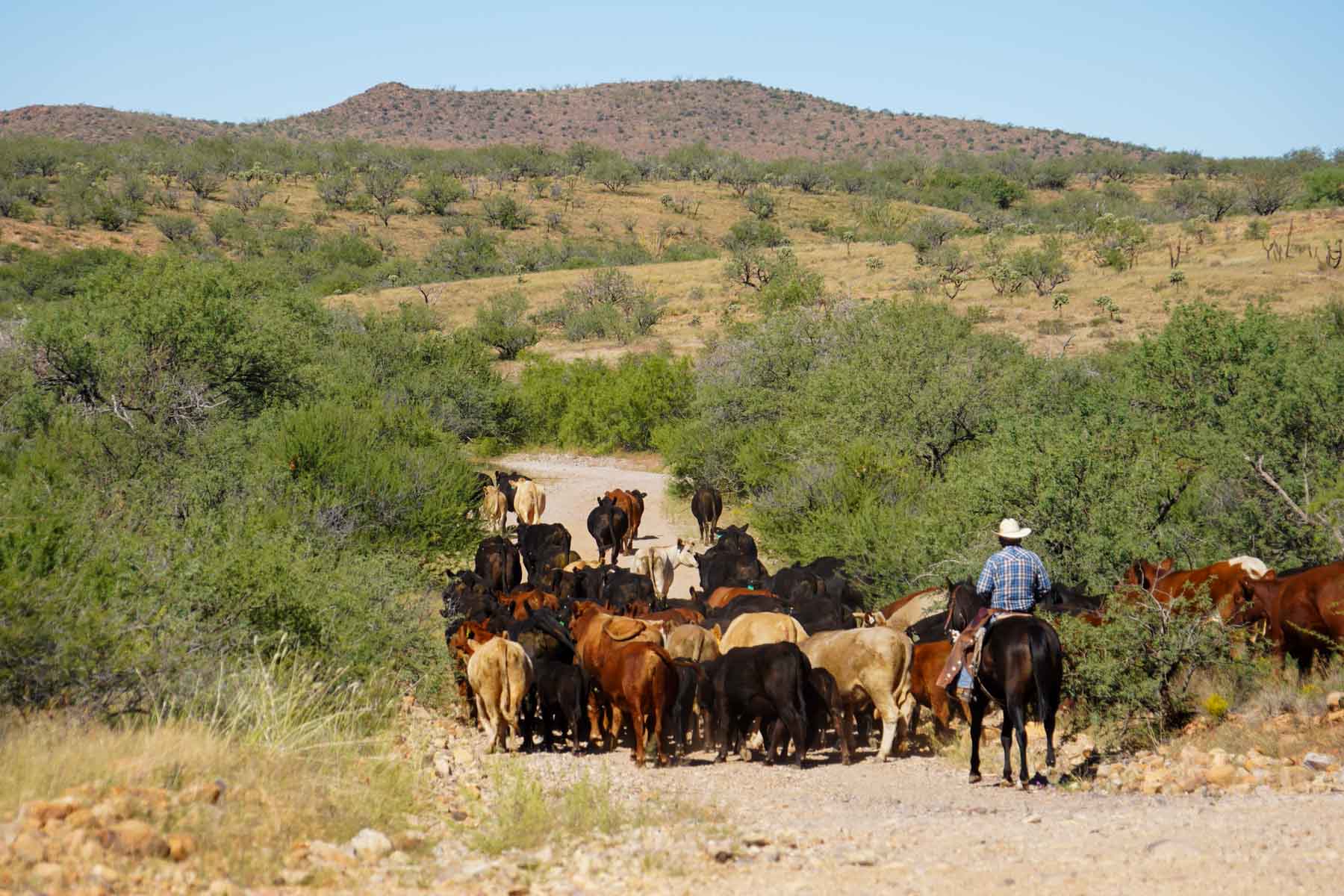 Marley Ranch property picture 90 of 91