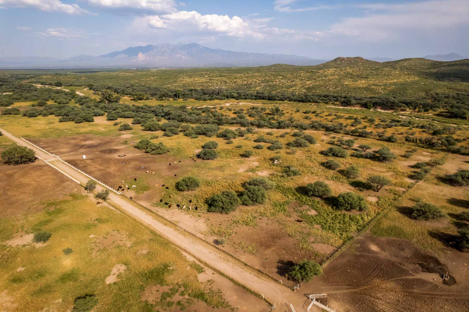 Marley Ranch property picture 19 of 91