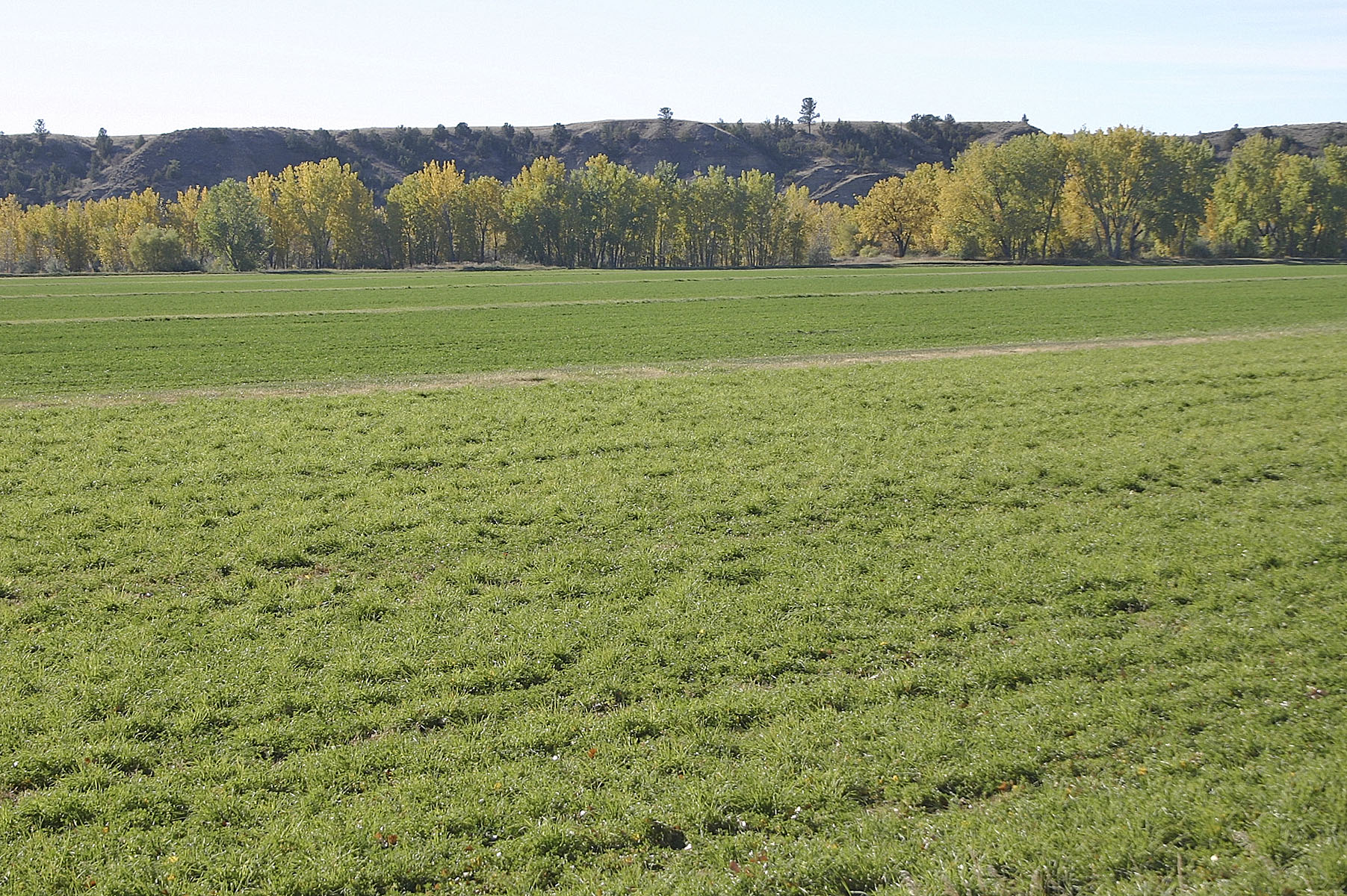 Yellowstone River Hunting Retreat property picture 11 of 11