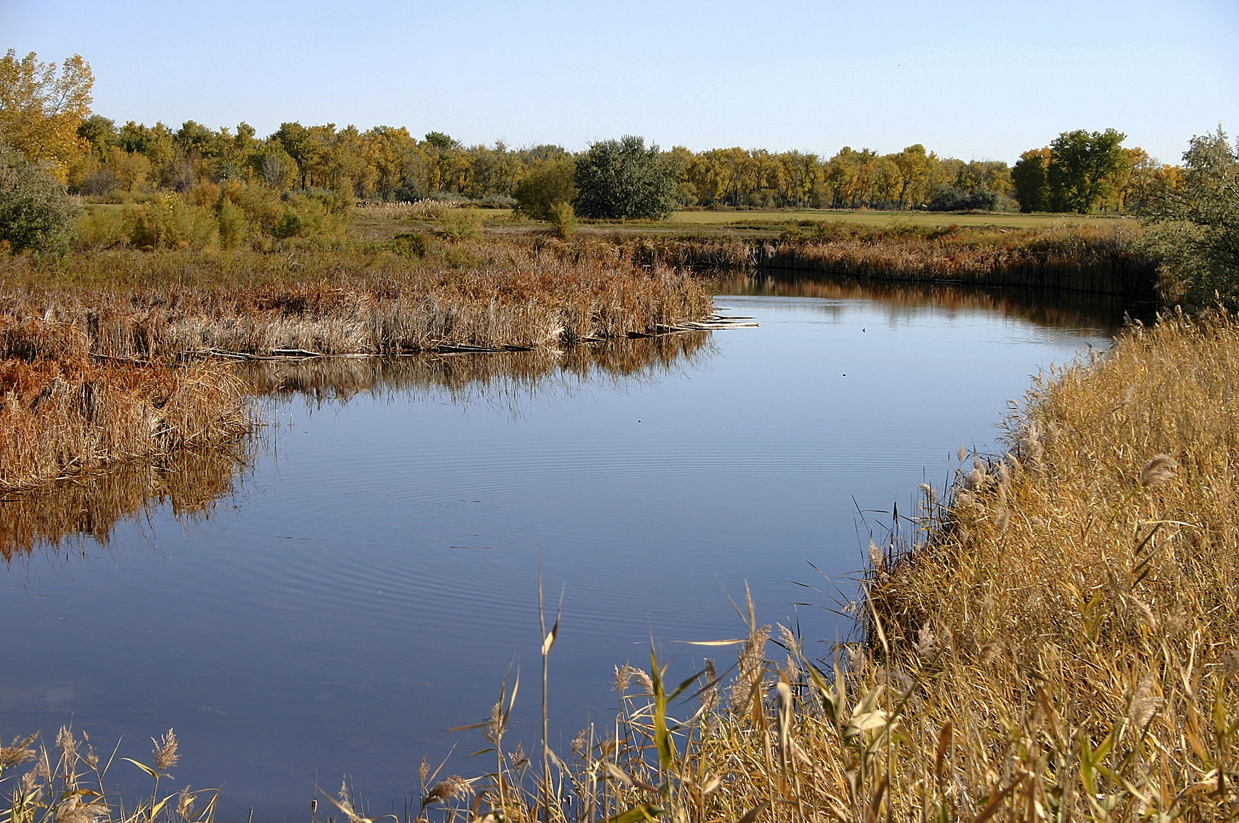 Yellowstone River Hunting Retreat property picture 3 of 11