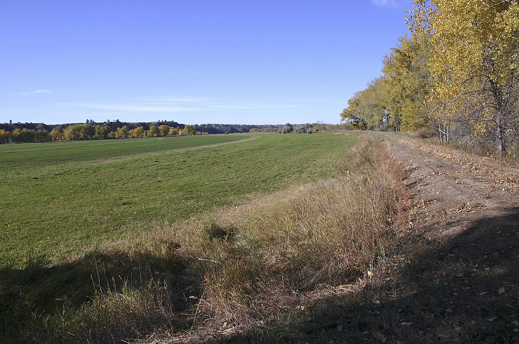 Yellowstone River Hunting Retreat property picture 2 of 11