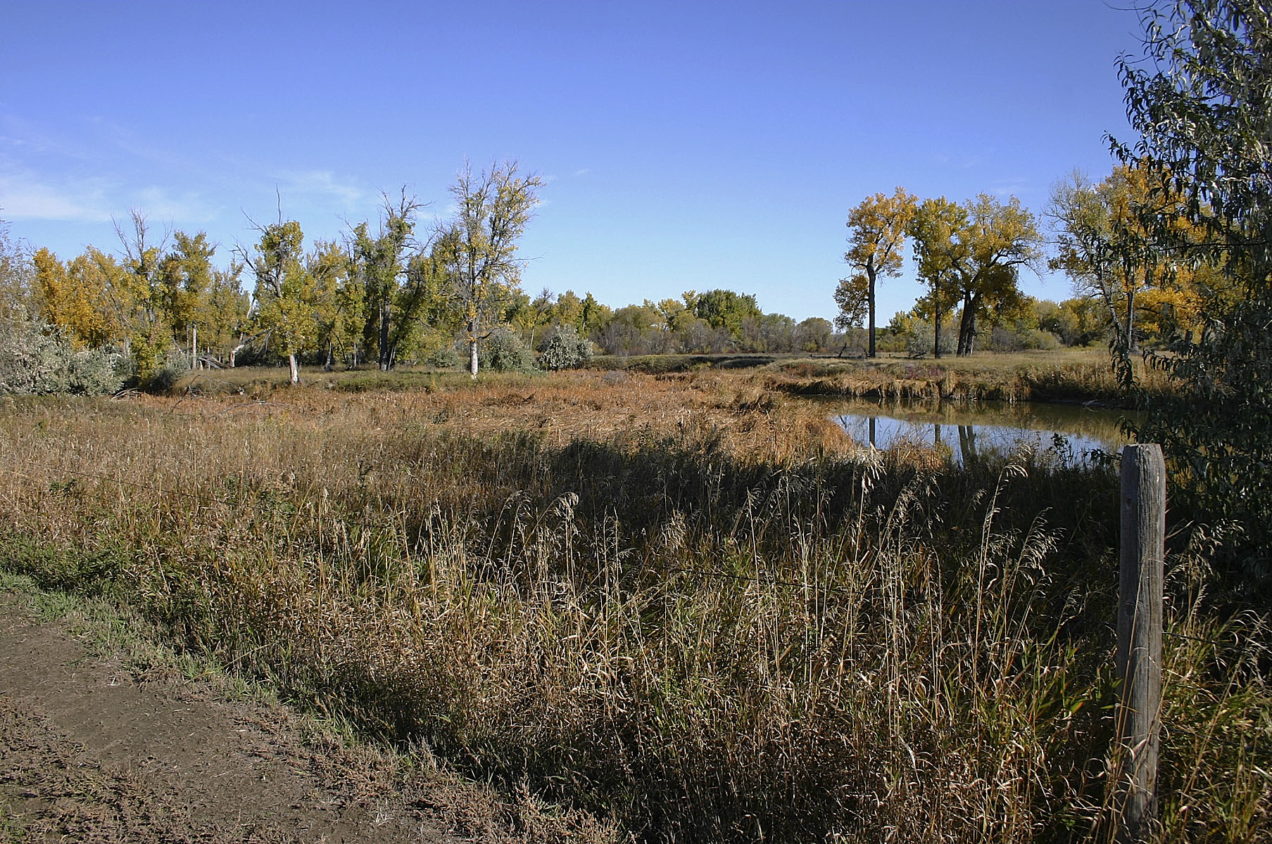 Yellowstone River Hunting Retreat property picture 7 of 11
