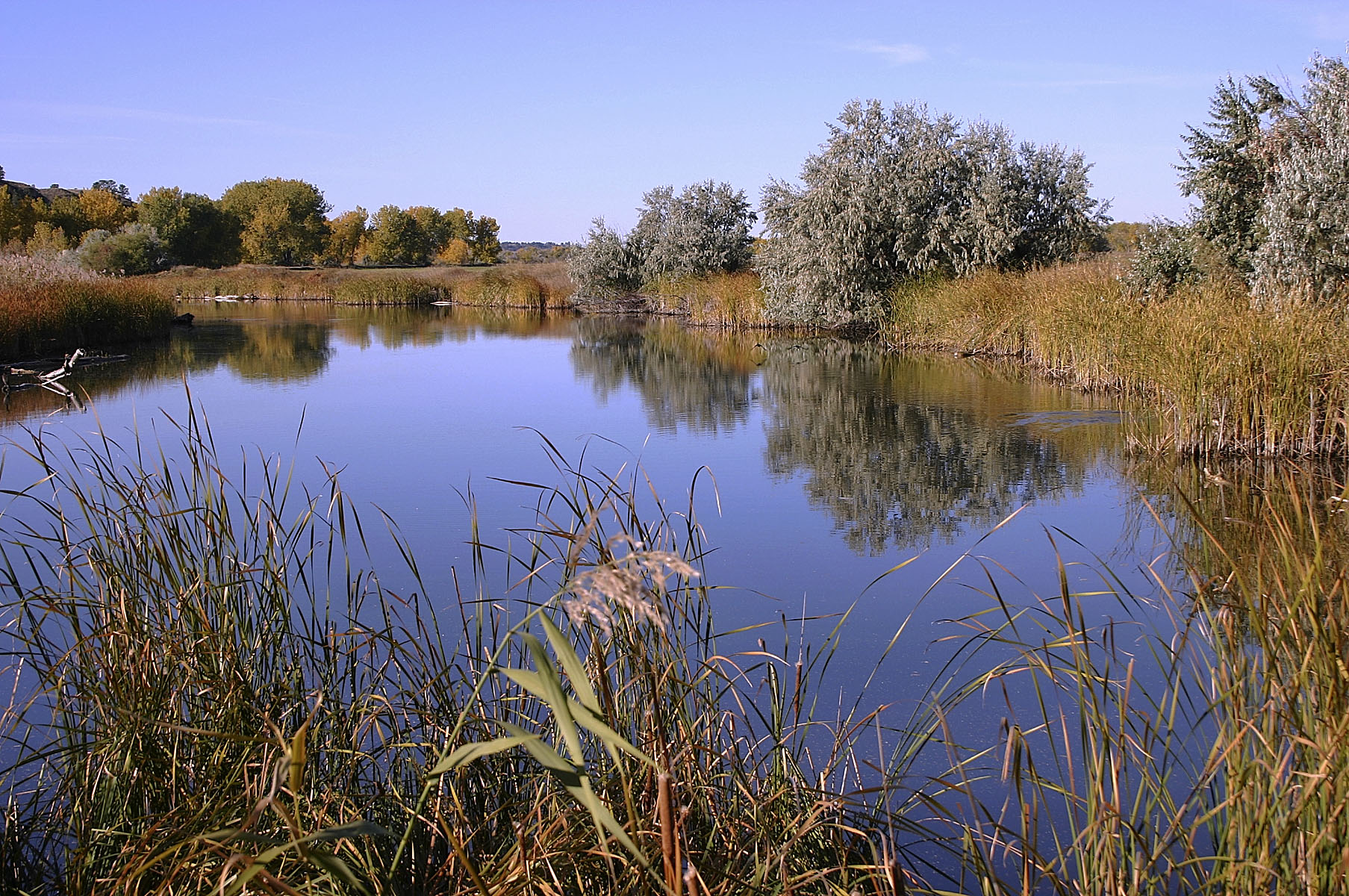 Yellowstone River Hunting Retreat property picture 9 of 11