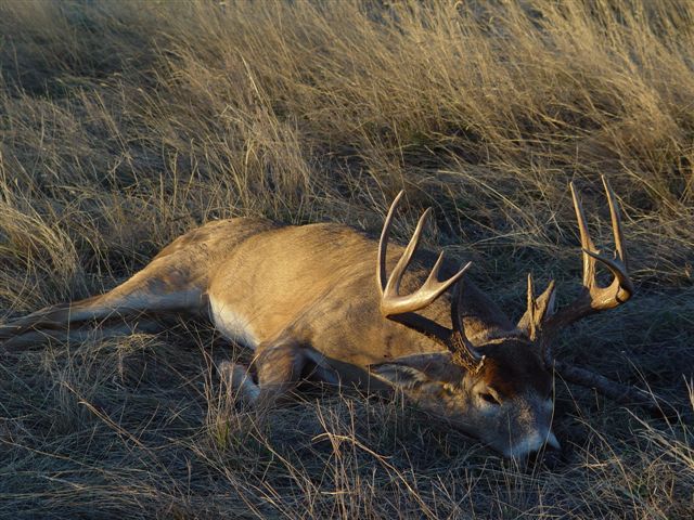 Yellowstone River Hunting Retreat property picture 4 of 11