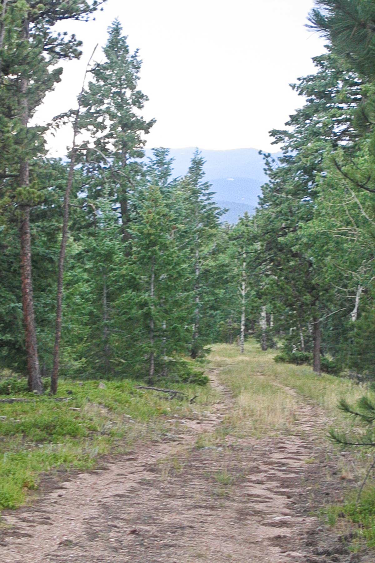 Berrien Ranch property picture 36 of 42