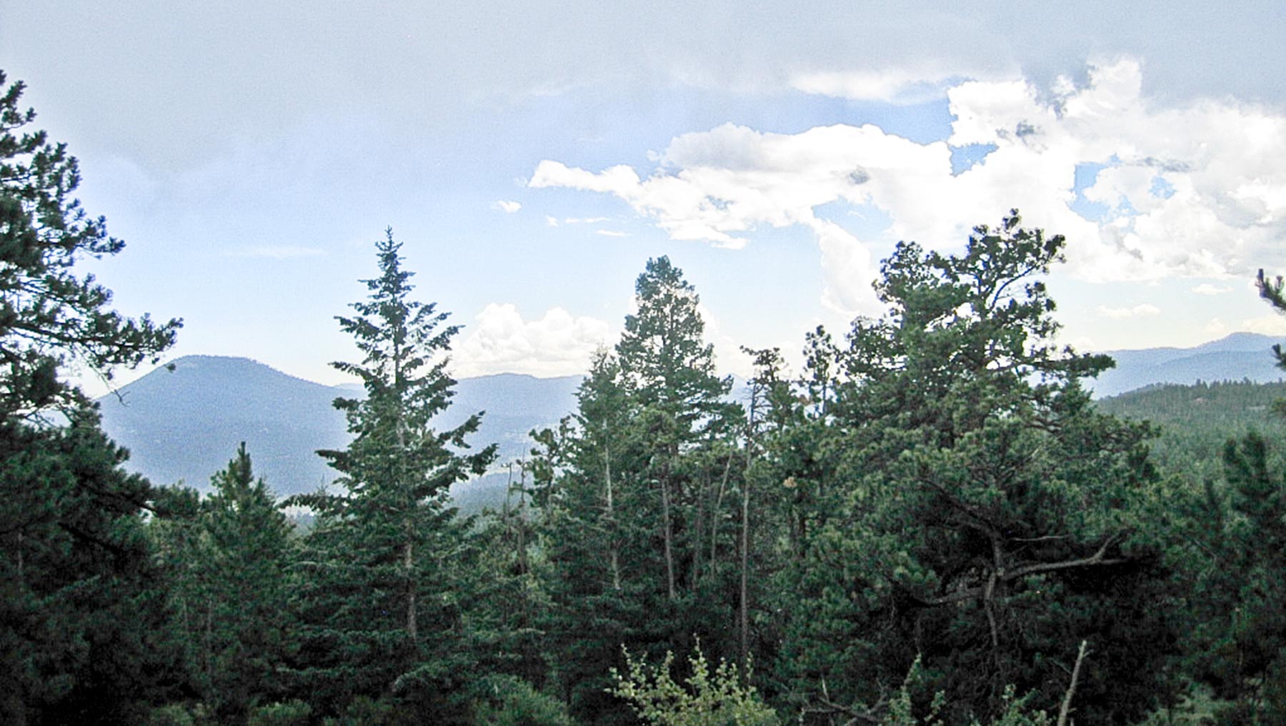 Berrien Ranch property picture 32 of 42