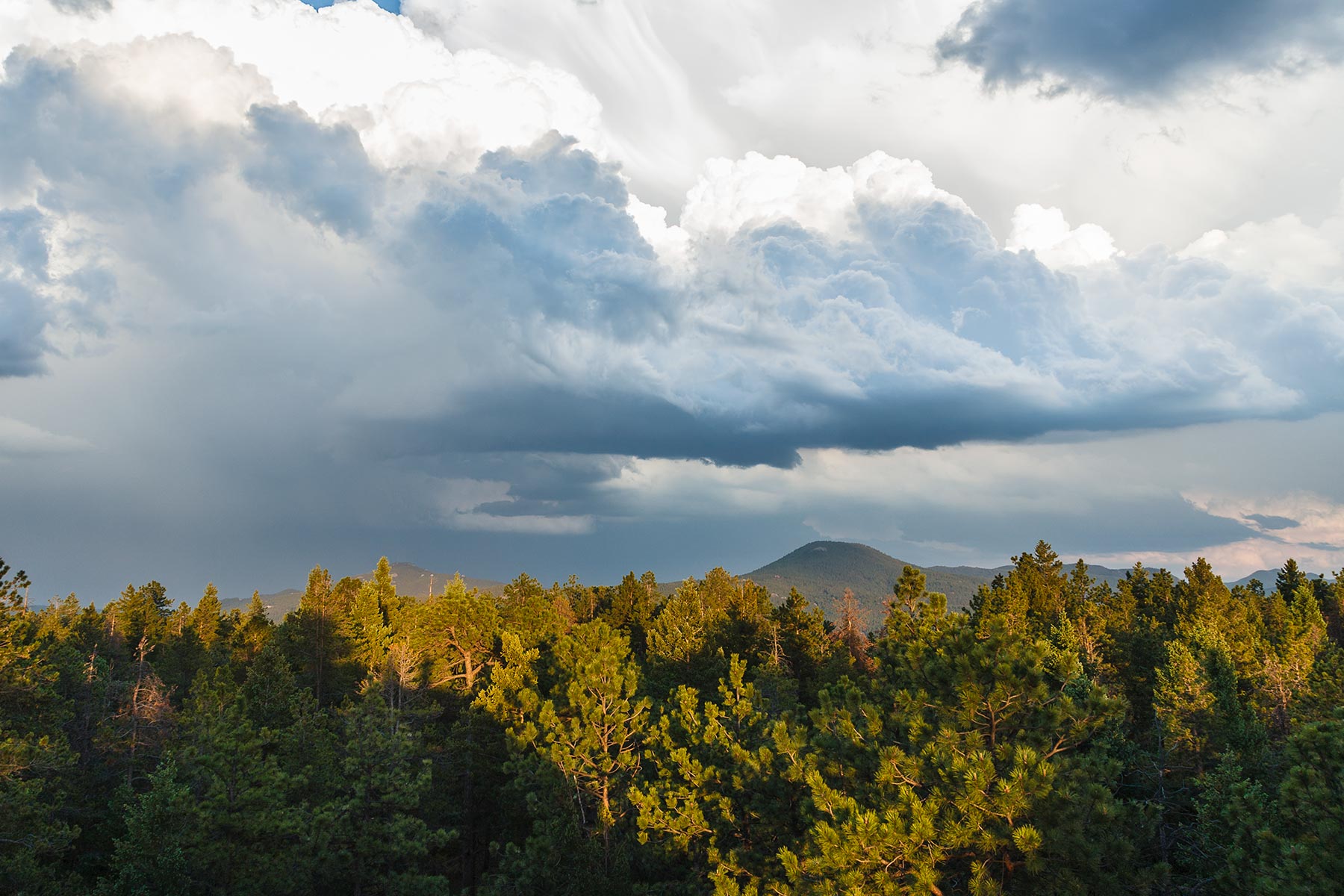 Berrien Ranch property picture 3 of 42