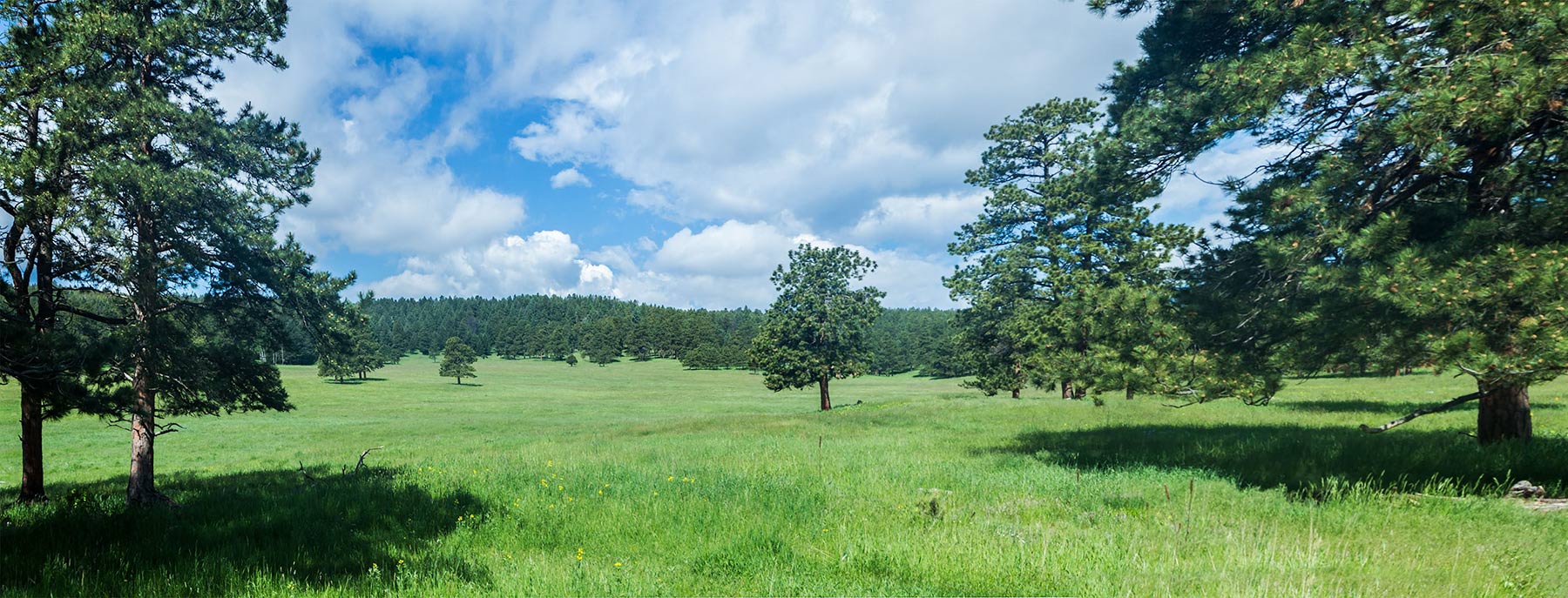 Berrien Ranch property picture 35 of 42