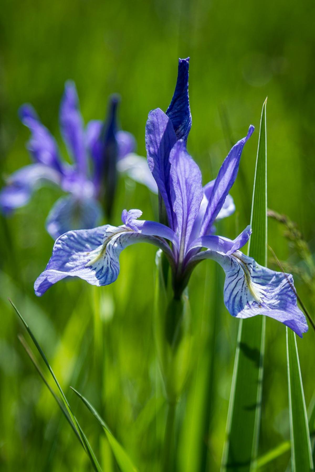 Berrien Ranch property picture 42 of 42