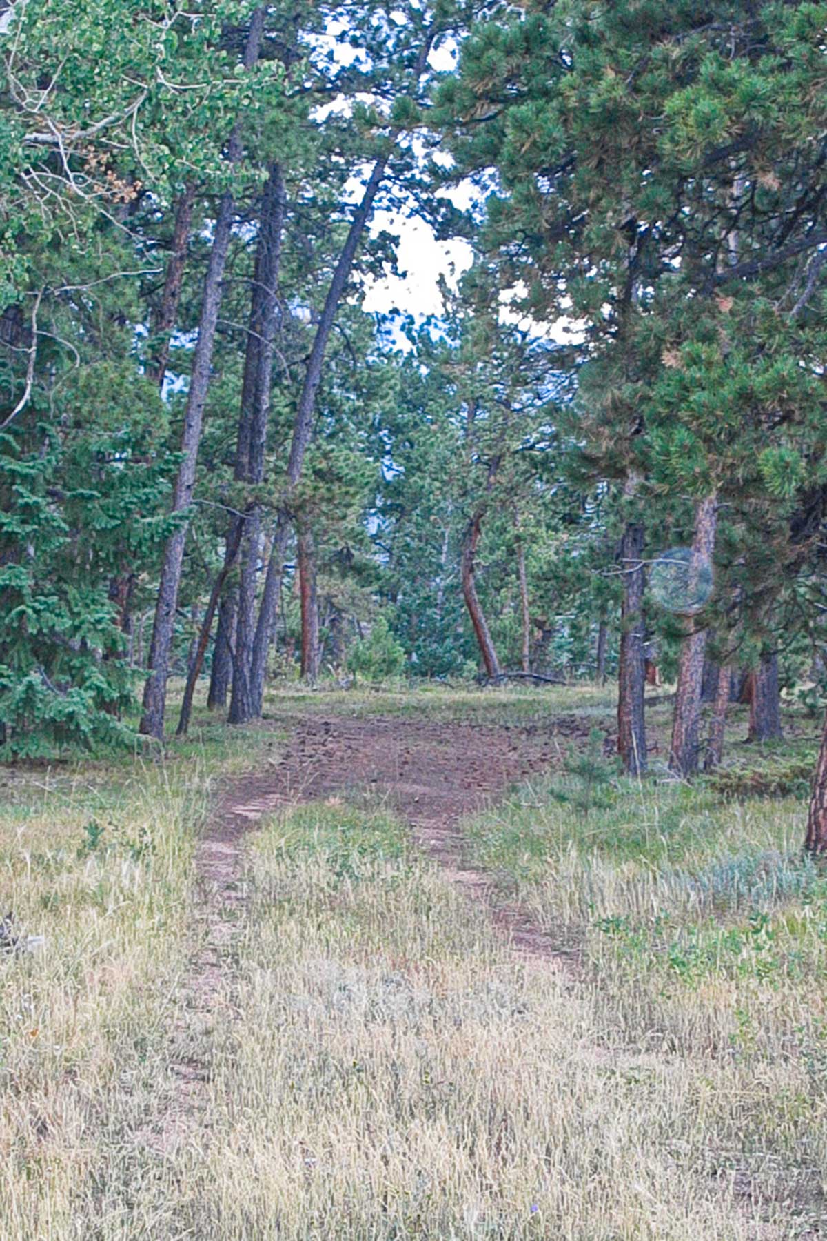 Berrien Ranch property picture 21 of 42