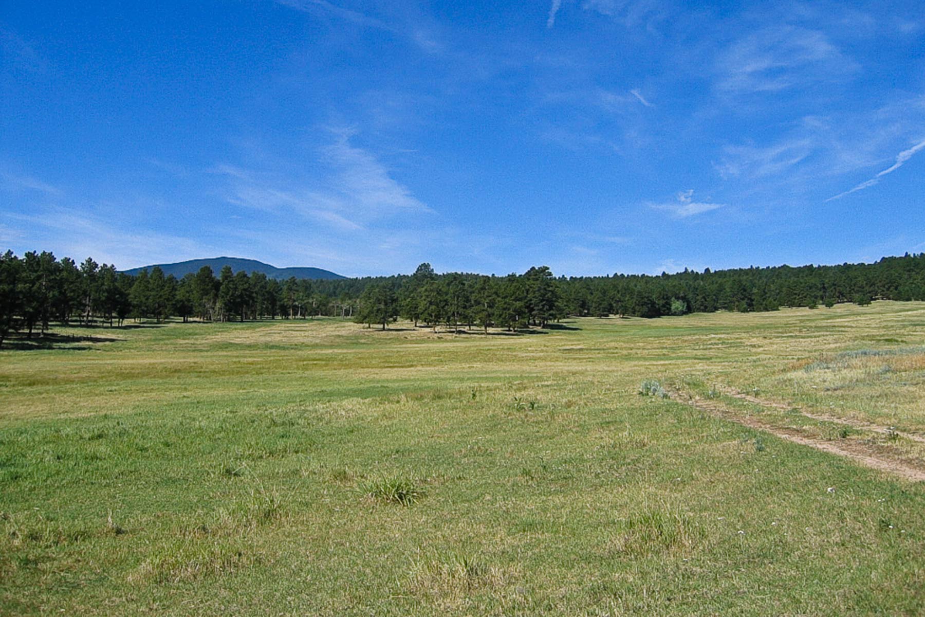 Berrien Ranch property picture 17 of 42