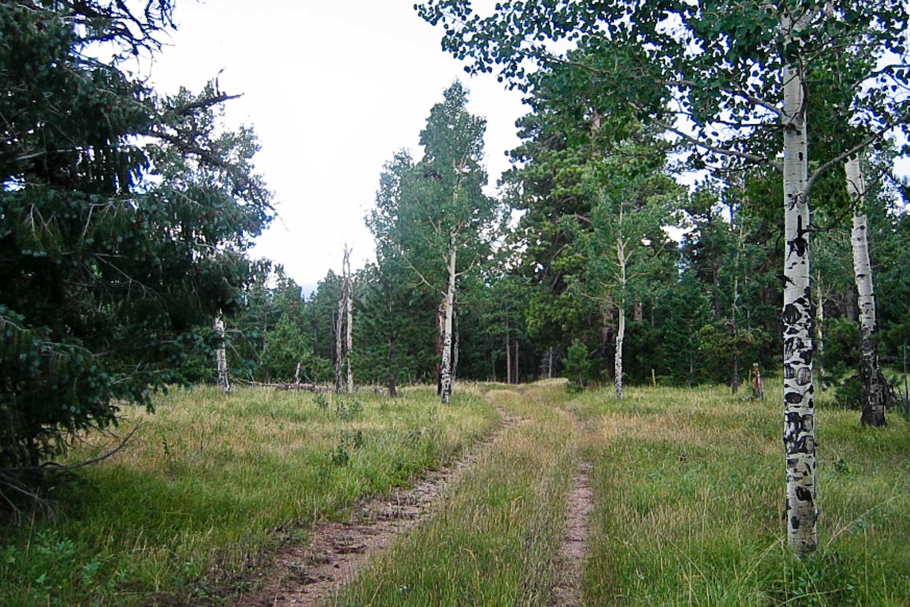 Berrien Ranch property picture 38 of 42