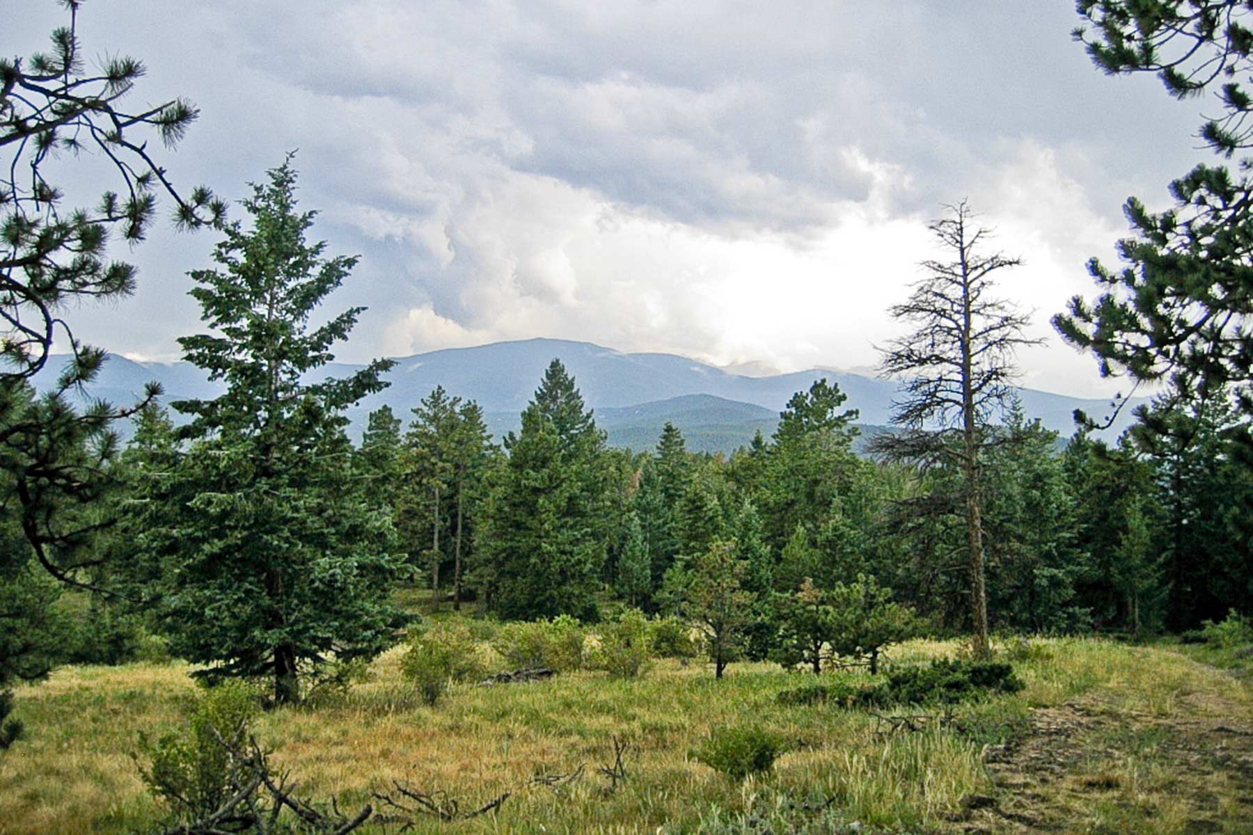 Berrien Ranch property picture 37 of 42