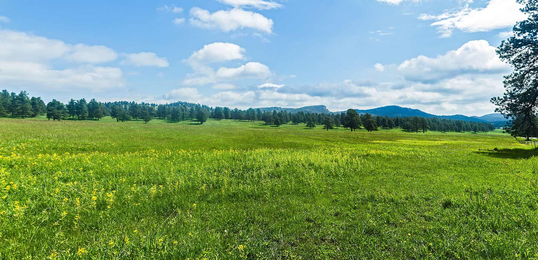 Berrien Ranch property picture 8 of 42