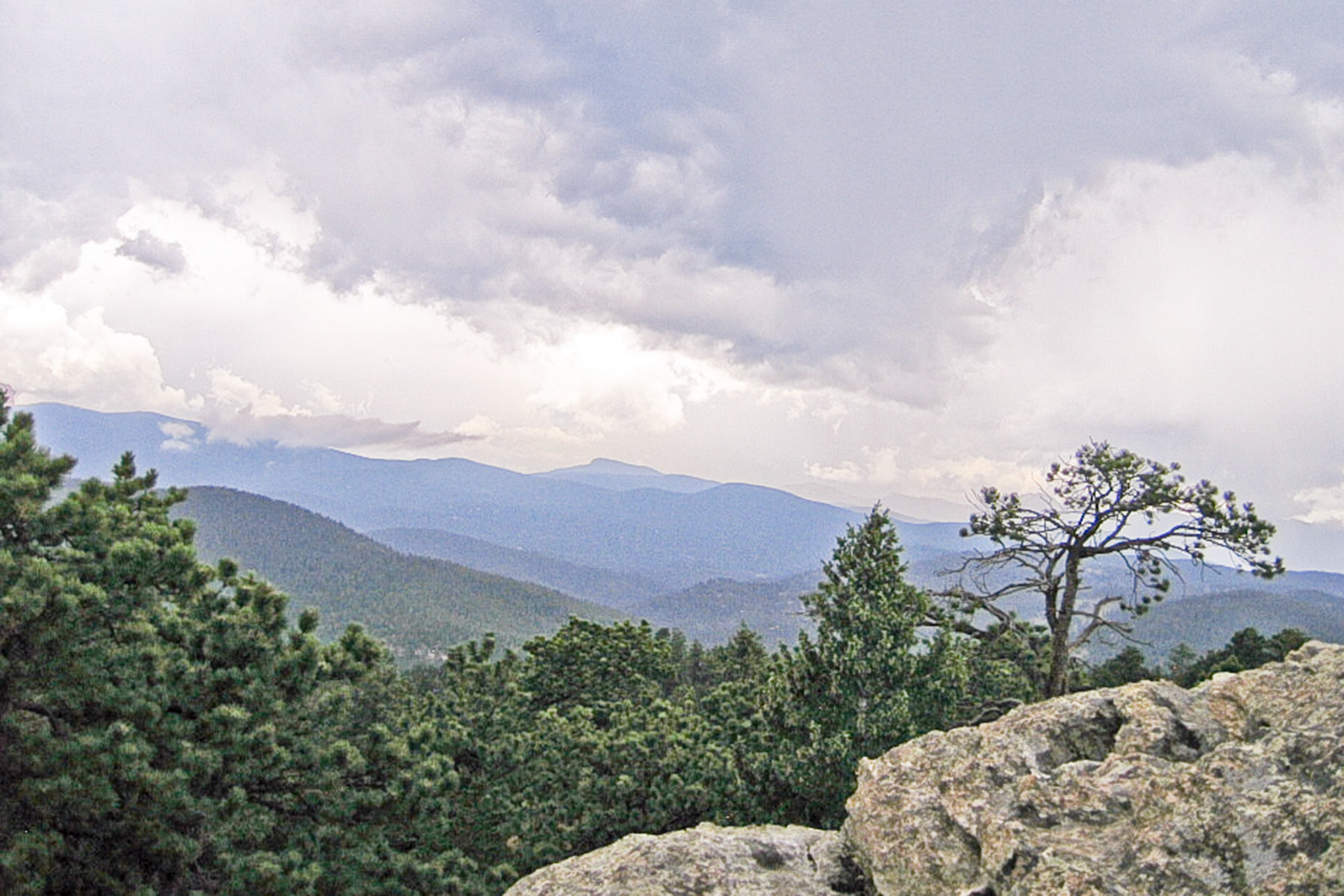 Berrien Ranch property picture 13 of 42