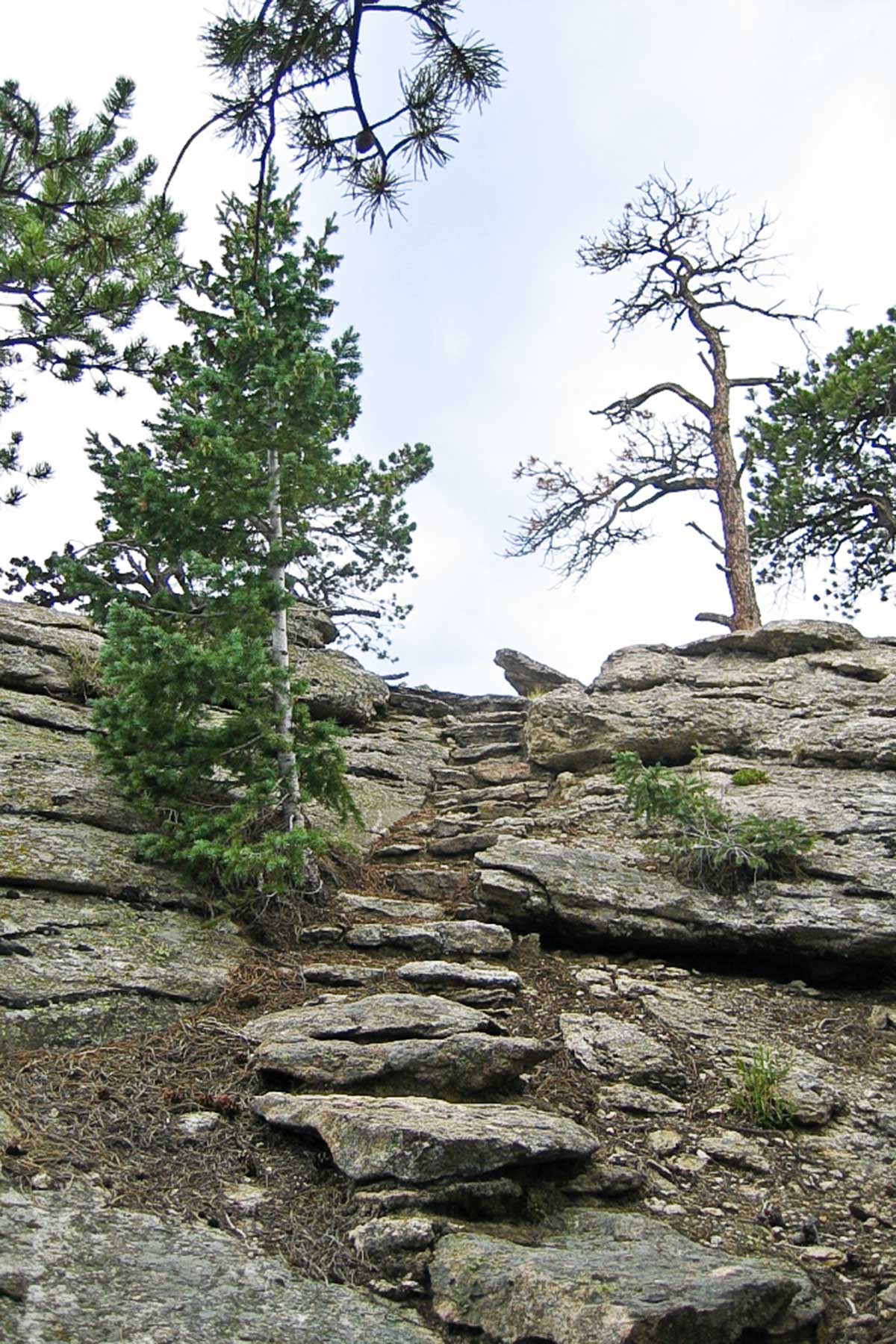 Berrien Ranch property picture 31 of 42