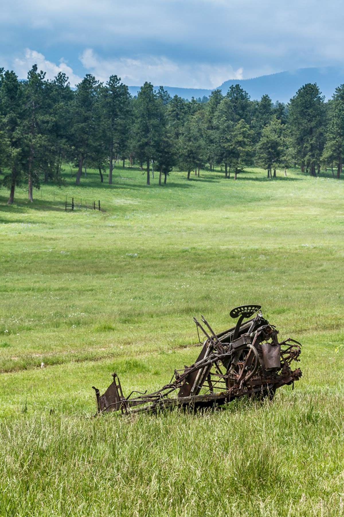 Berrien Ranch property picture 16 of 42
