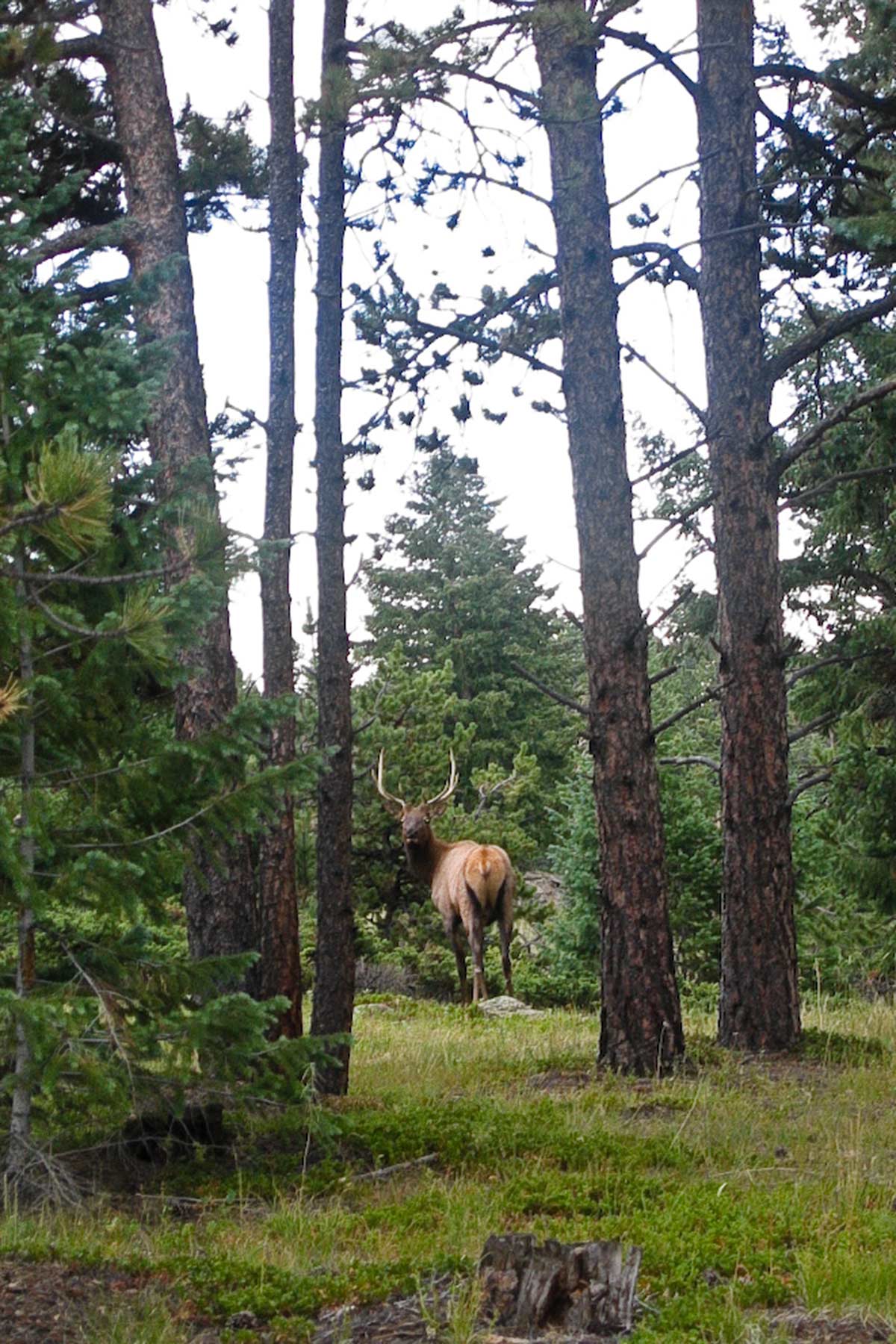 Berrien Ranch property picture 25 of 42