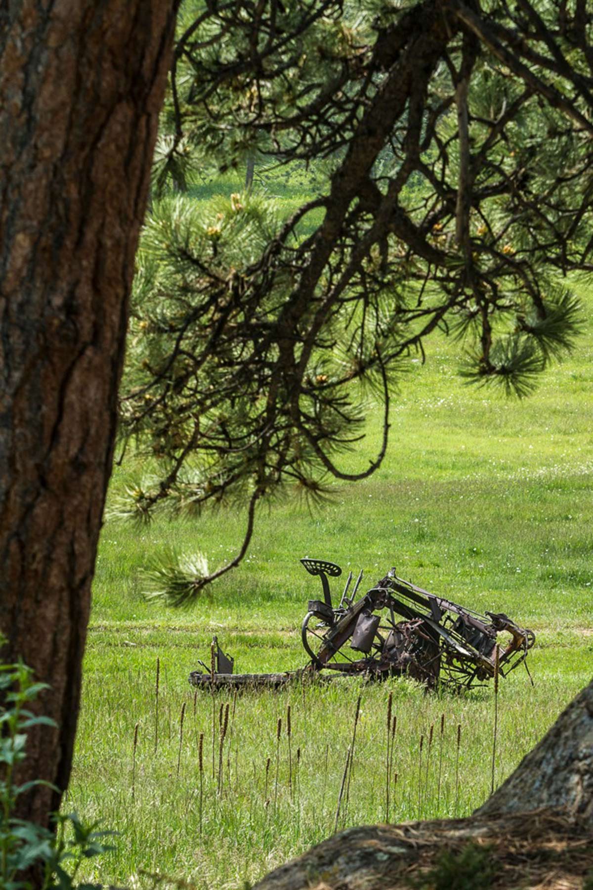 Berrien Ranch property picture 39 of 42