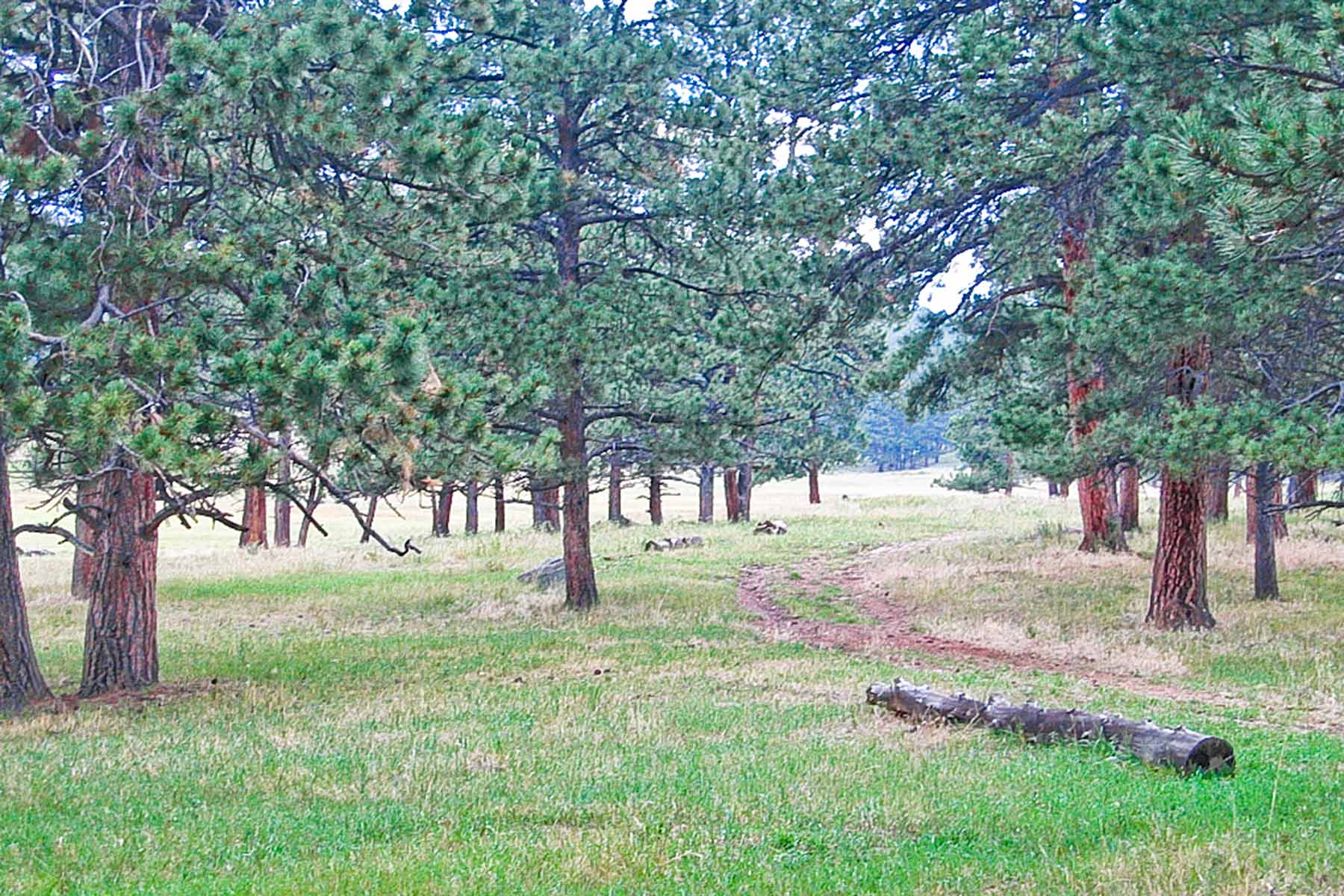 Berrien Ranch property picture 15 of 42