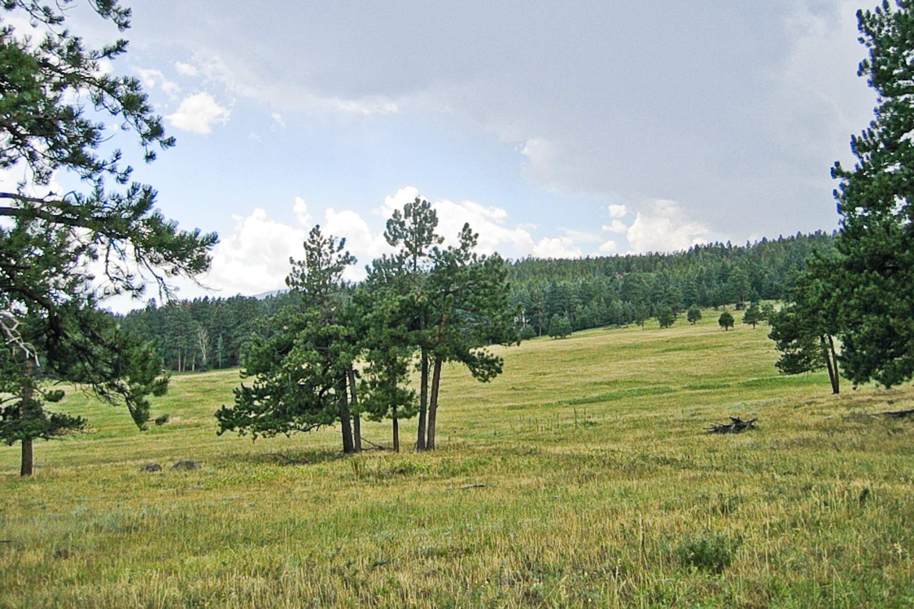 Berrien Ranch property picture 20 of 42