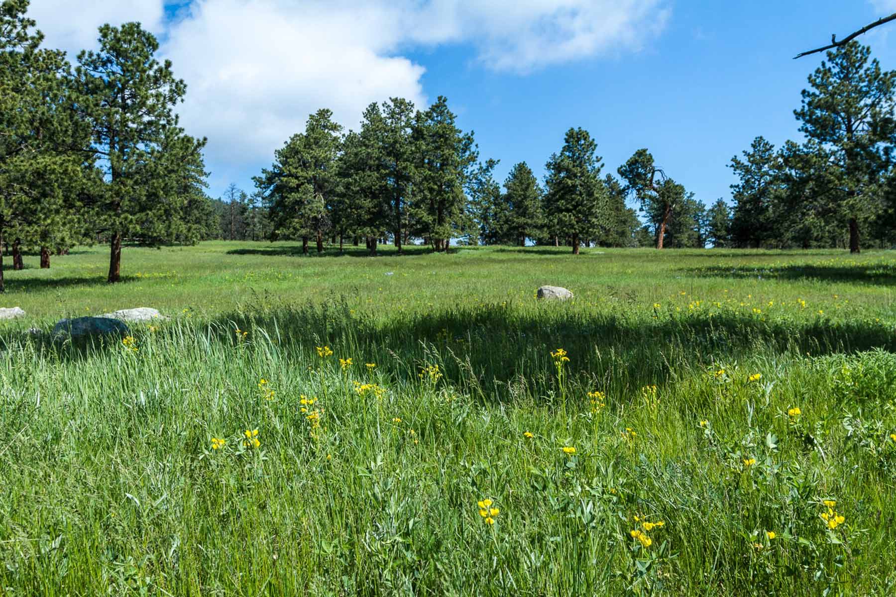 Berrien Ranch property picture 7 of 42