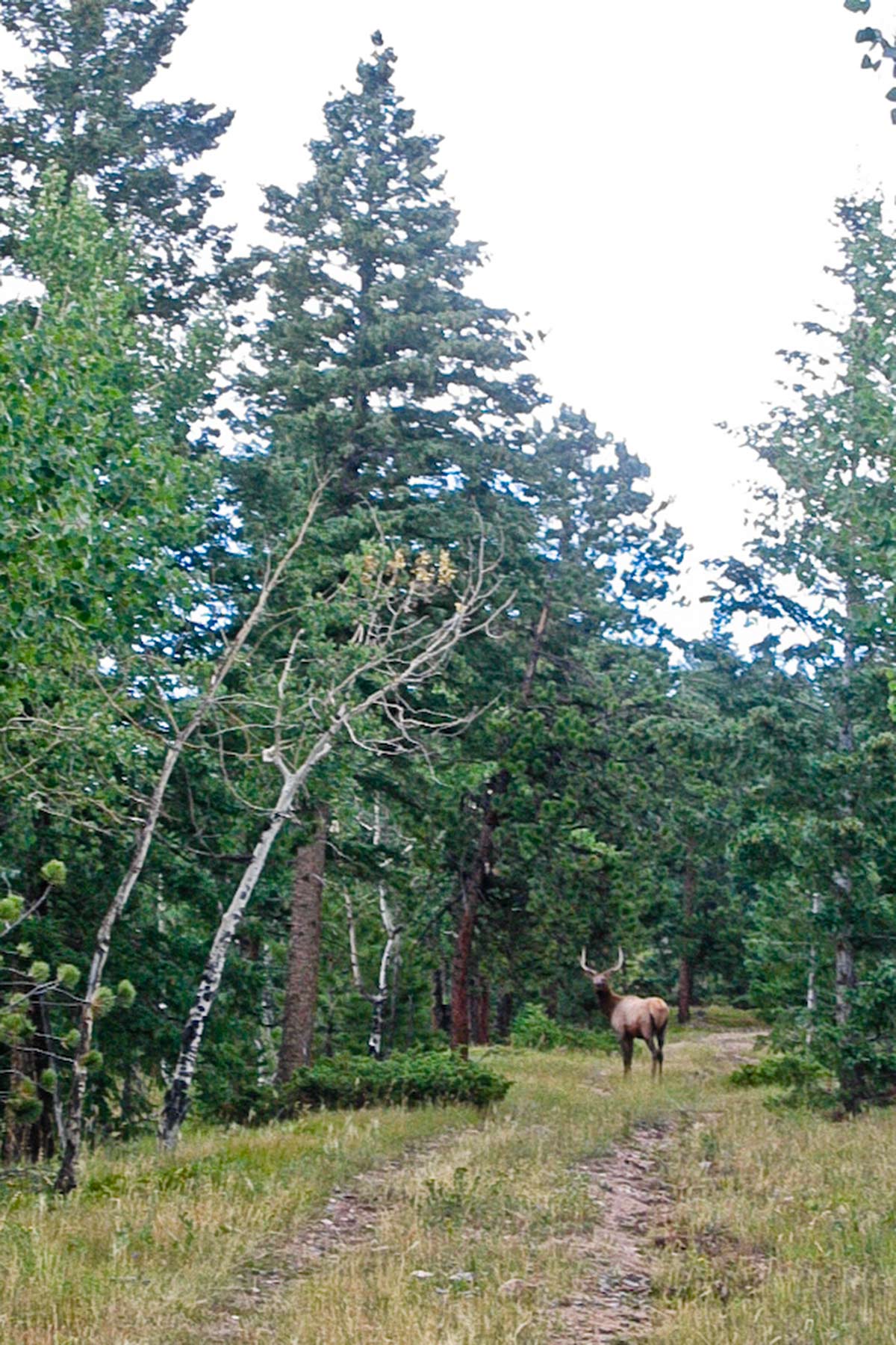 Berrien Ranch property picture 24 of 42