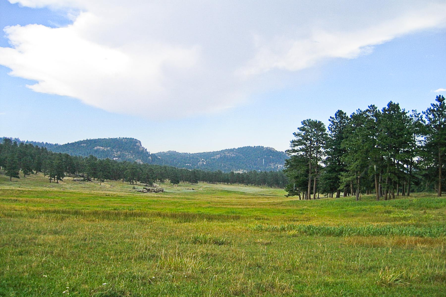 Berrien Ranch property picture 23 of 42