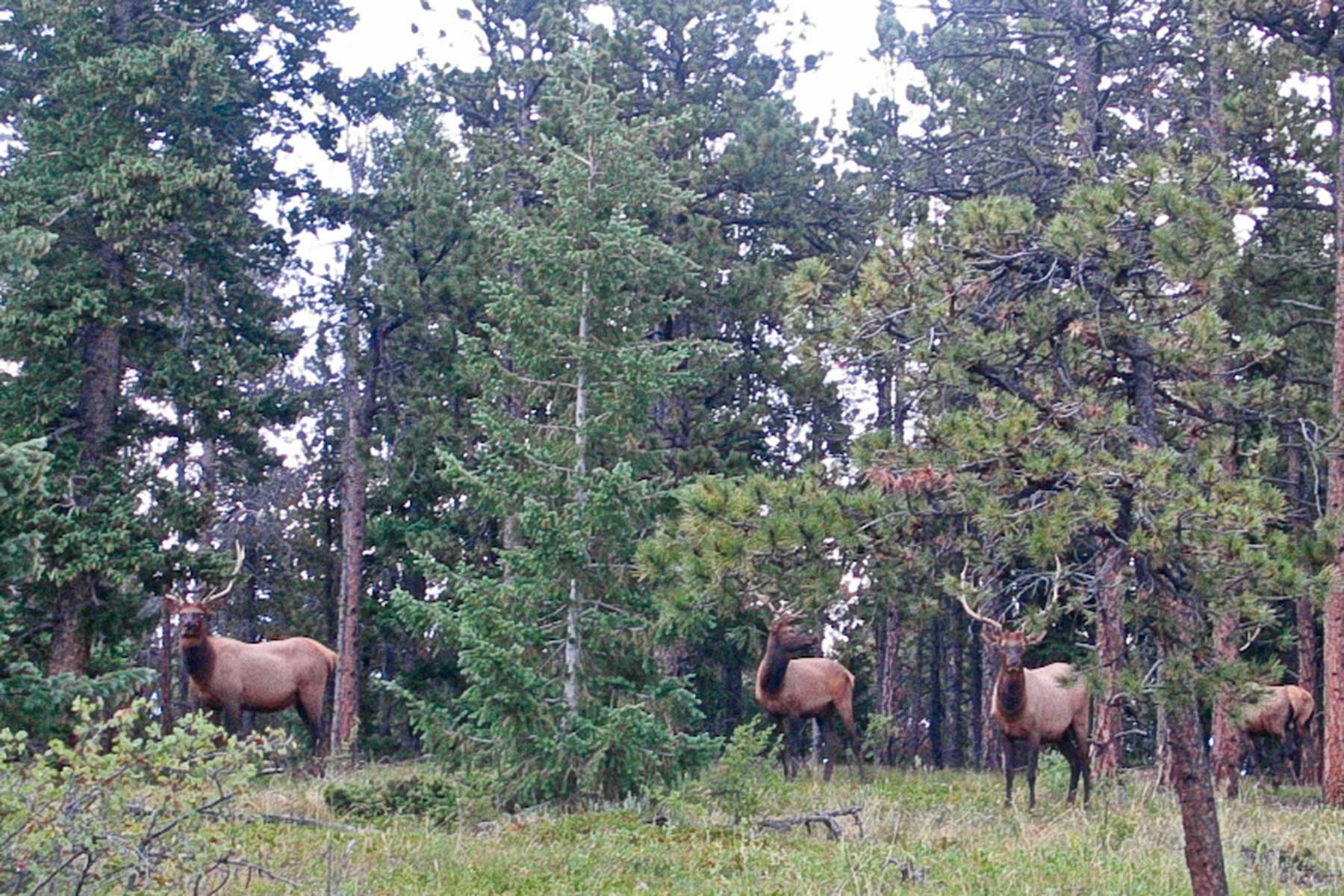 Berrien Ranch property picture 26 of 42