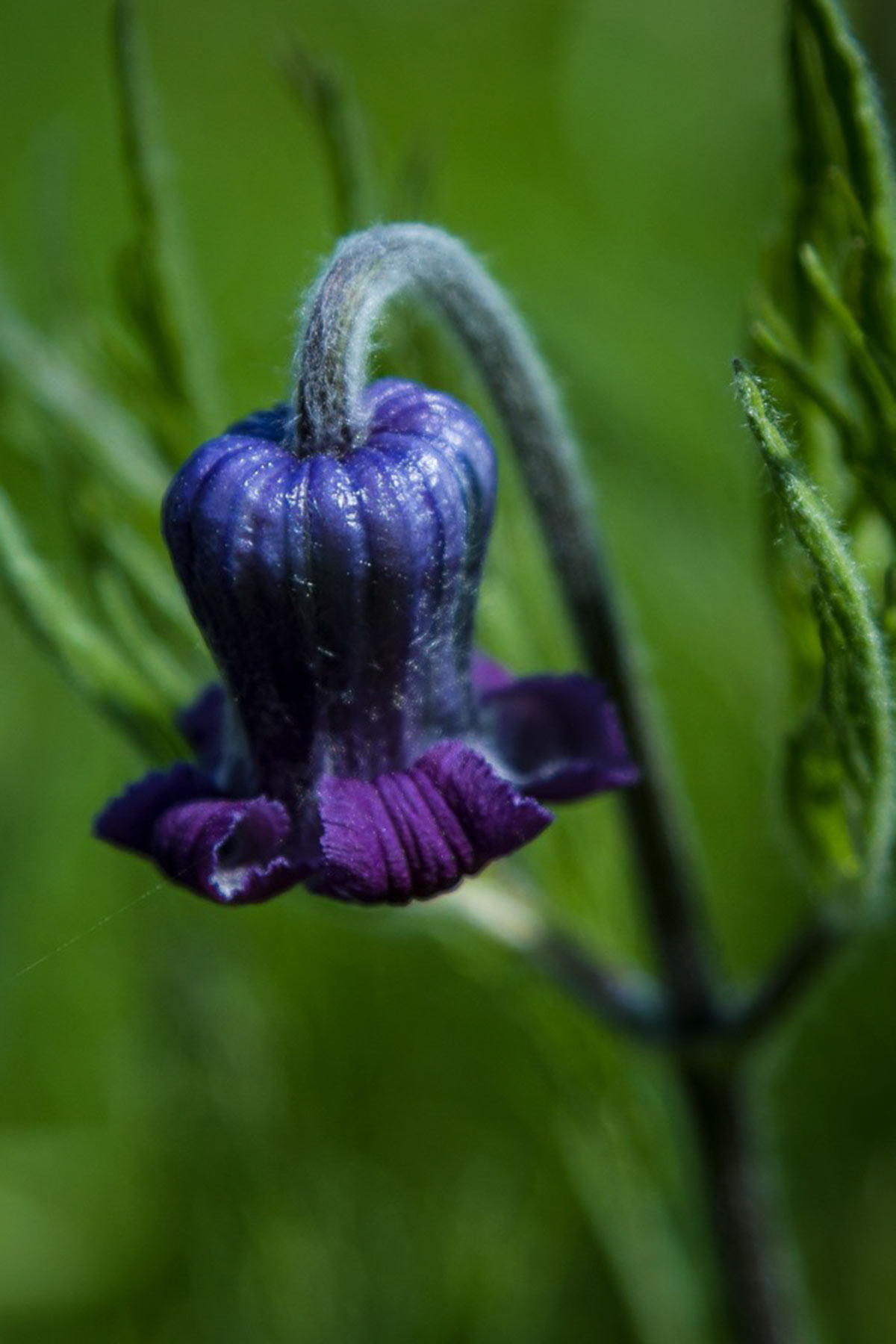 Berrien Ranch property picture 40 of 42