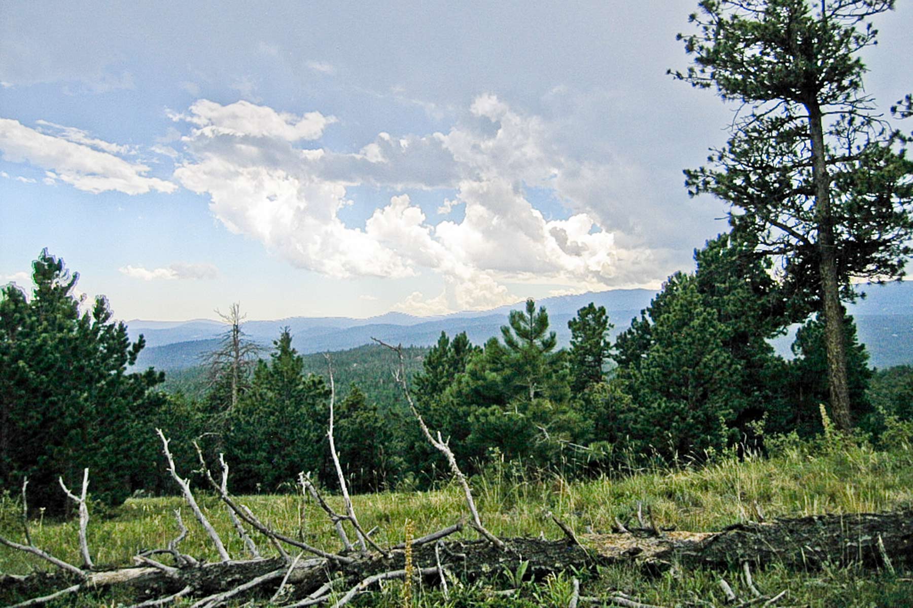 Berrien Ranch property picture 29 of 42