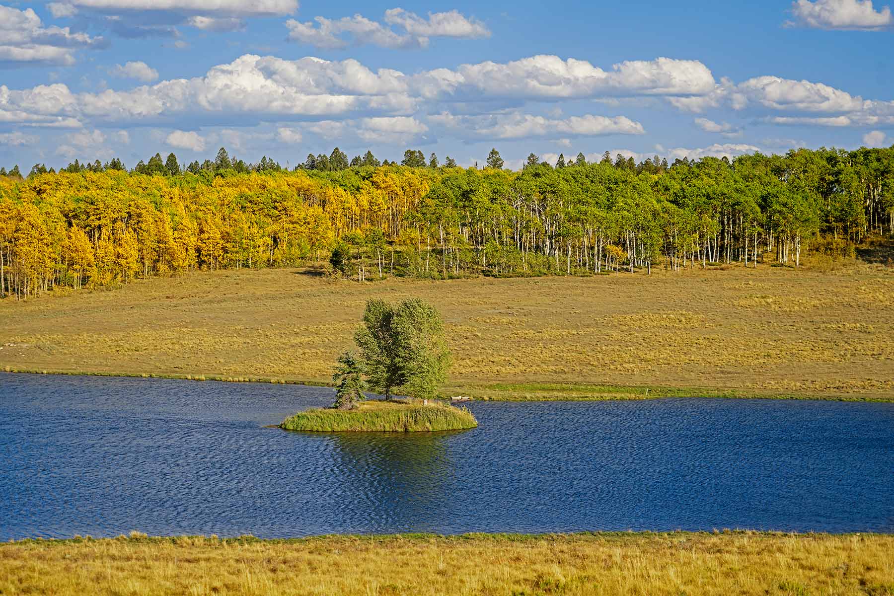 Elk Island Ranch Sold Colorado Hall and Hall