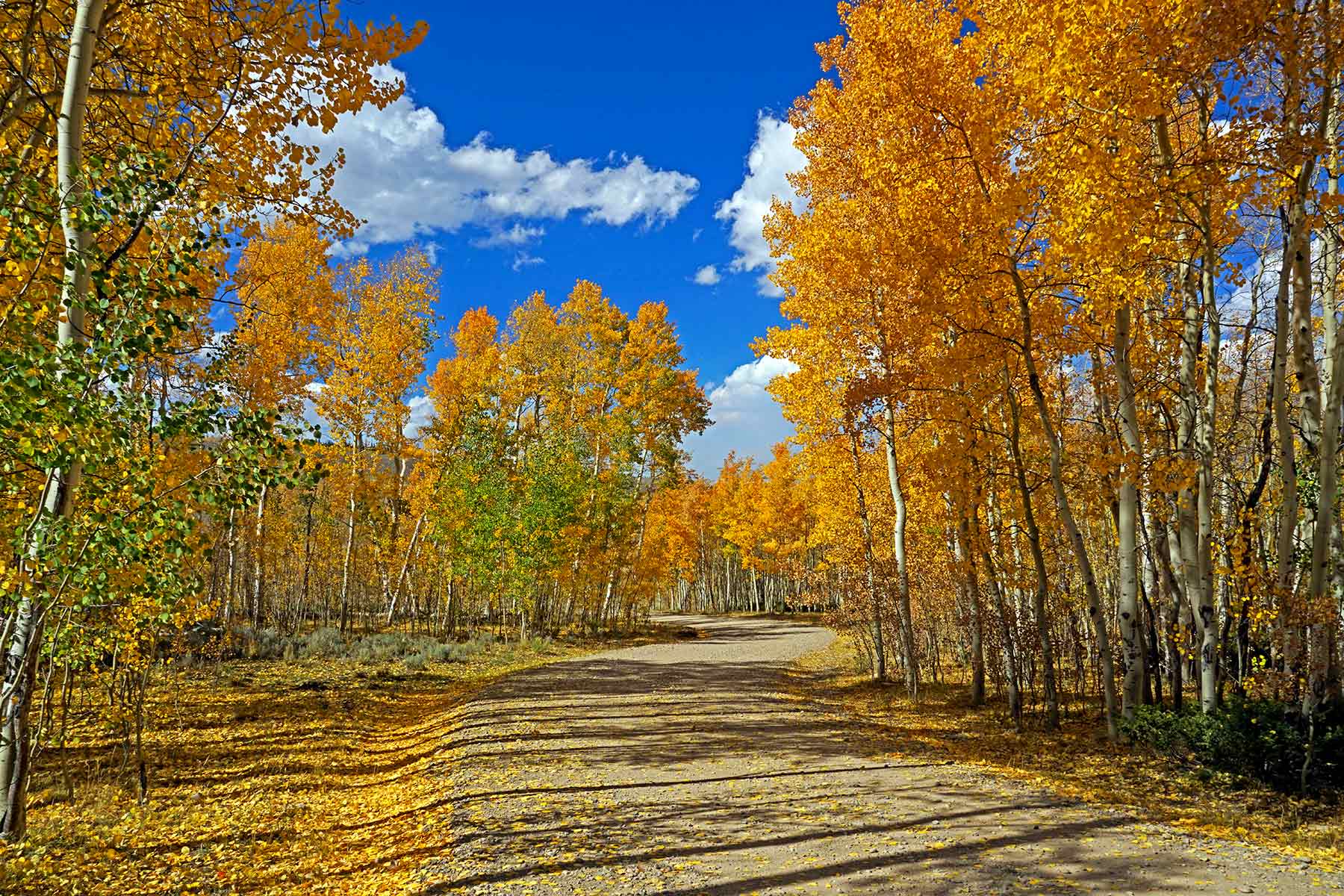 Elk Island Ranch Sold Colorado Hall and Hall