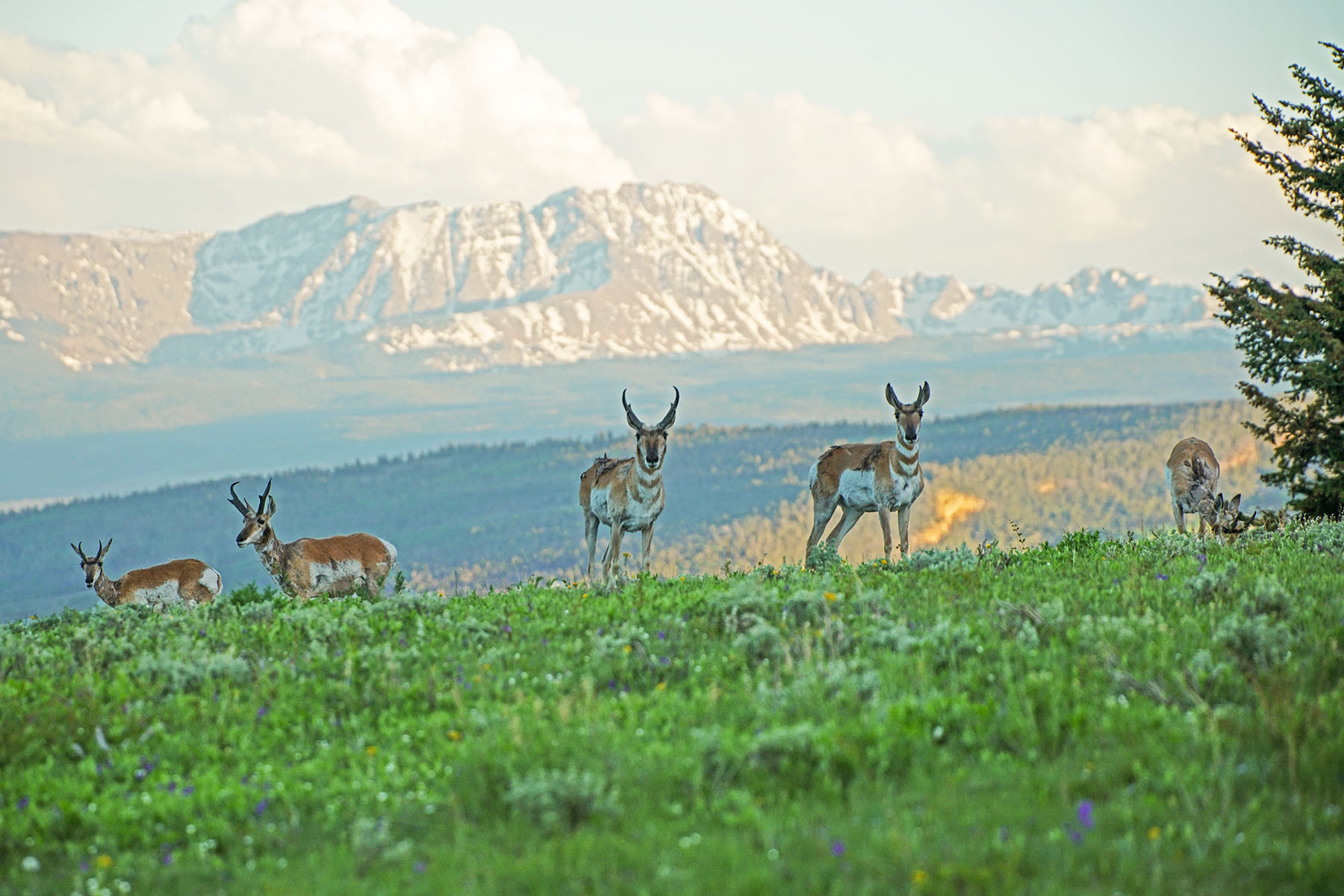 Elk Island Ranch property picture 9 of 126