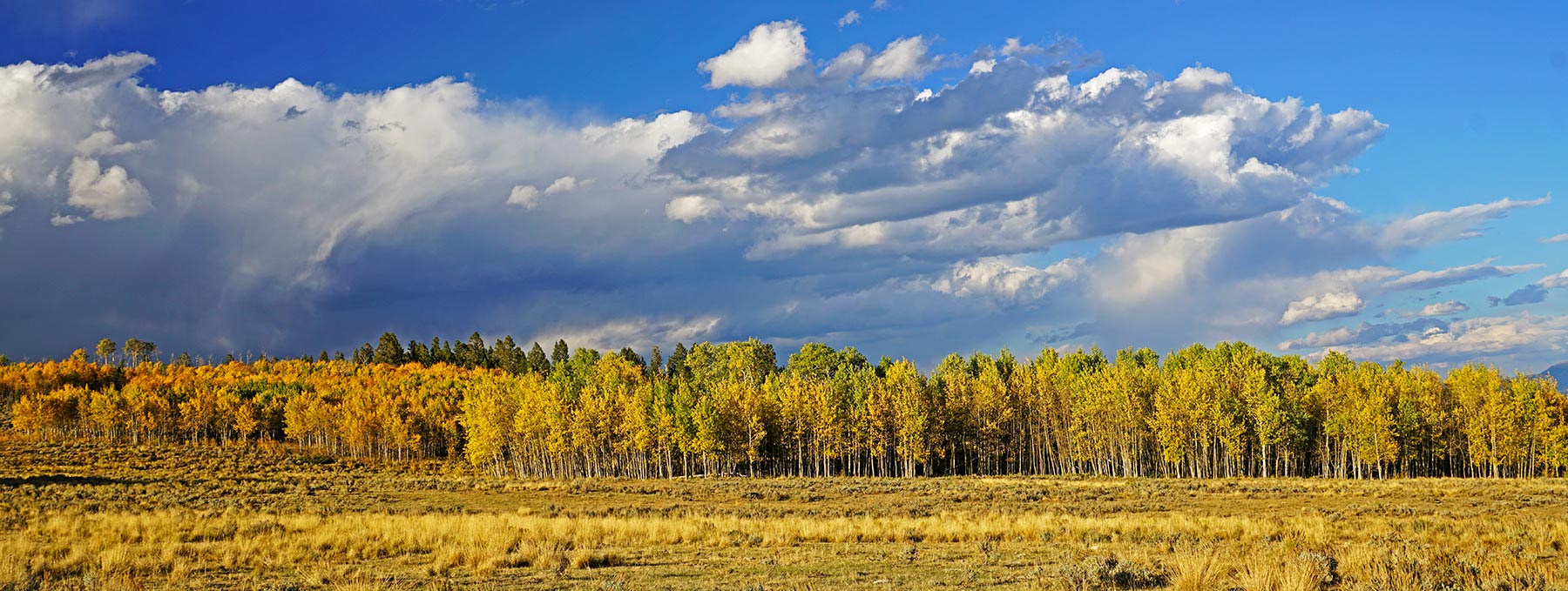 Elk Island Ranch Sold Colorado Hall and Hall