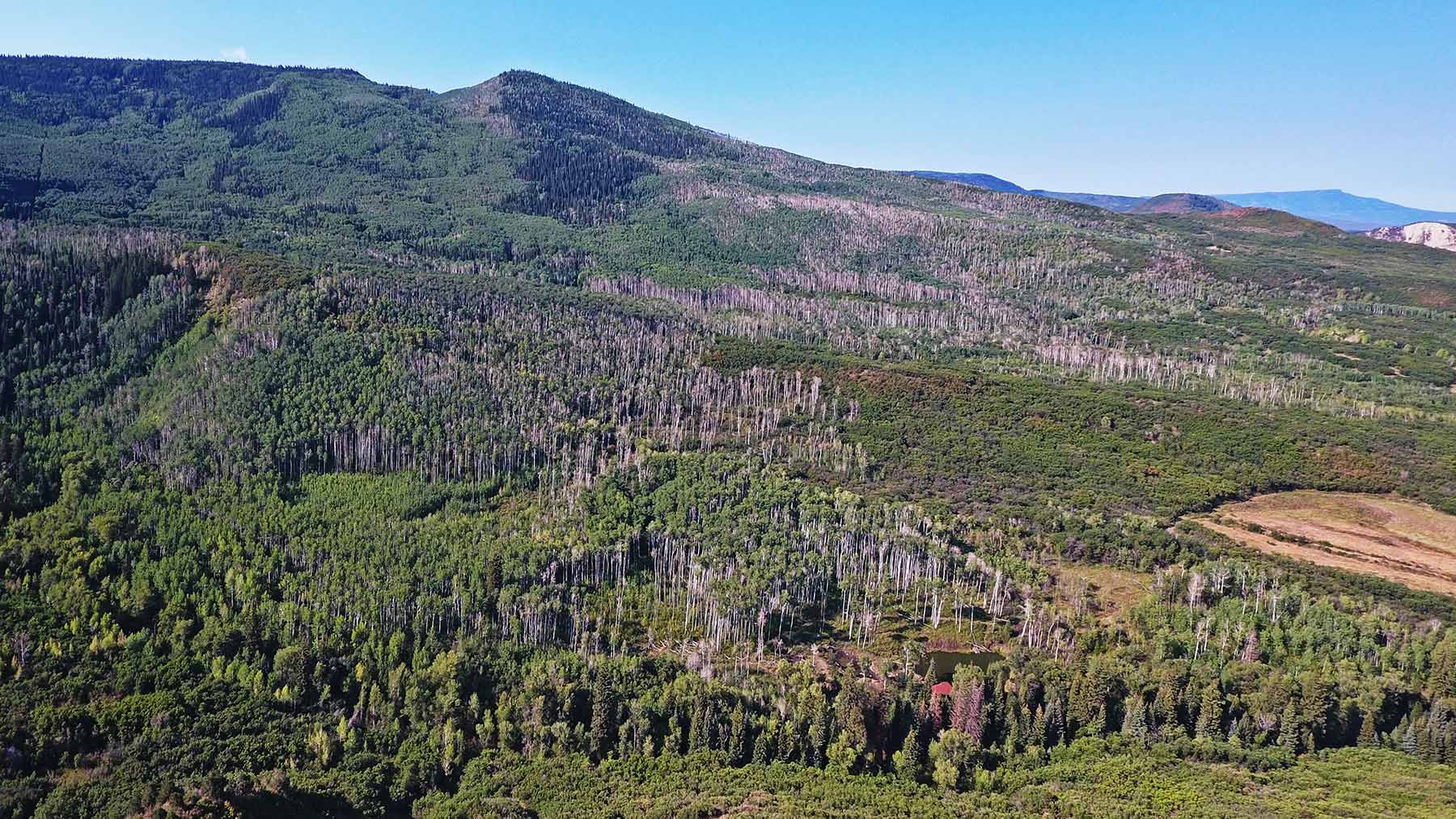 Grove Creek Ranch property picture 13 of 48